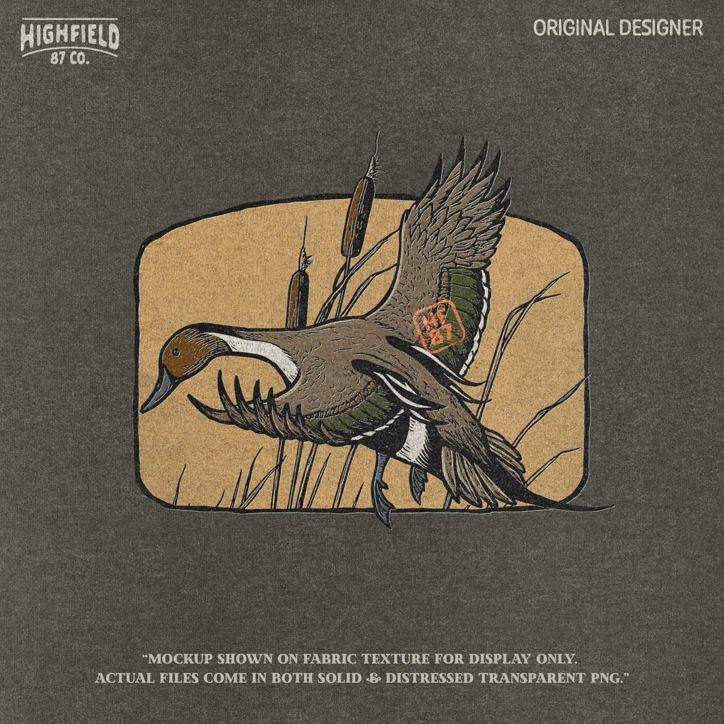 Vintage-style pintail duck mid-flight with wings stretched, shown over tan marsh grass background, perfect for waterfowl hunting artwork.
