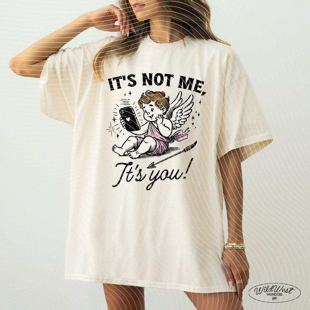 It's Not Me, It's You PNG Anti-Valentine's in Trendy vintage retro Cupid Funny Valentine comic design for Tees, Wall art, Stickers Tote Bags