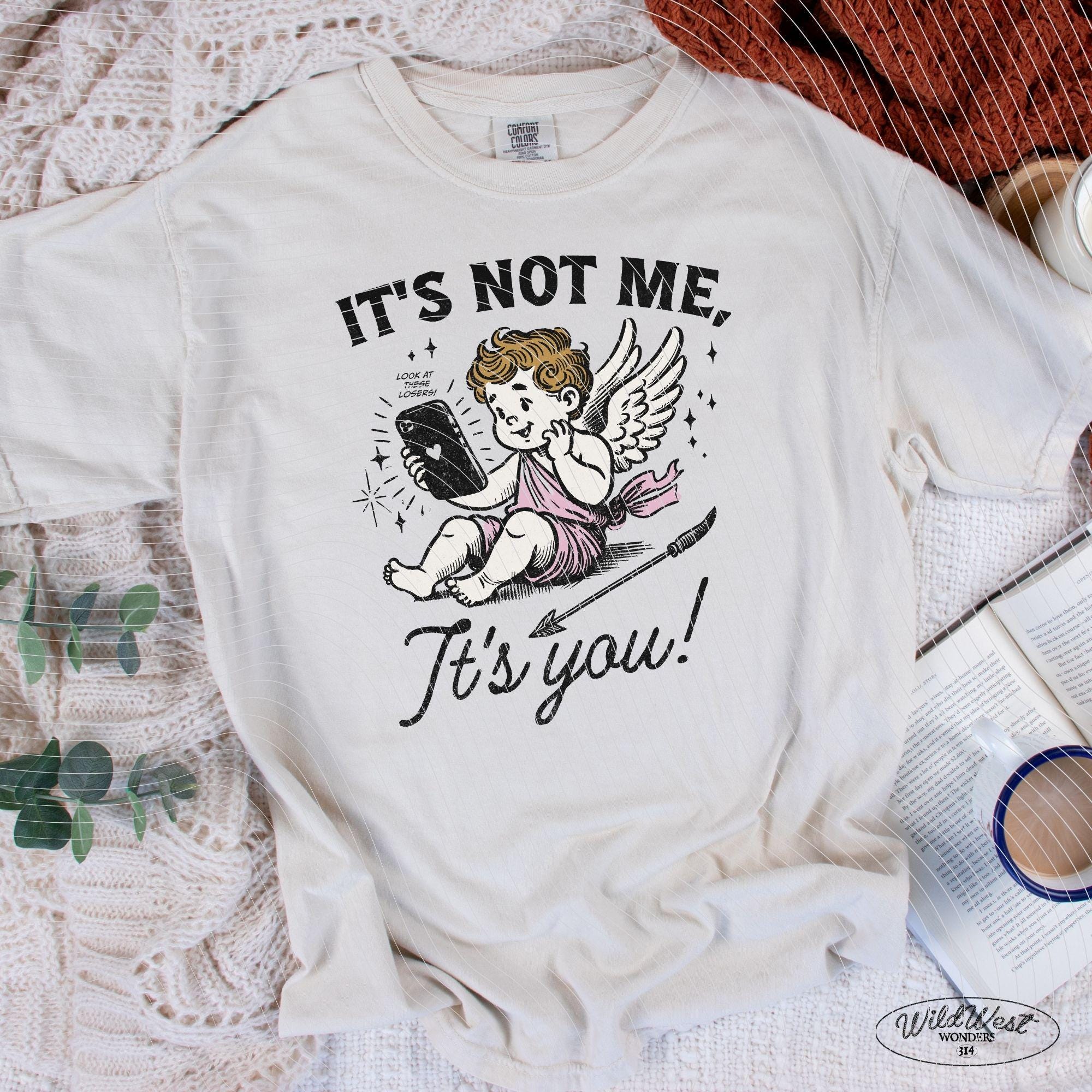 It's Not Me, It's You PNG Anti-Valentine's in Trendy vintage retro Cupid Funny Valentine comic design for Tees, Wall art, Stickers Tote Bags