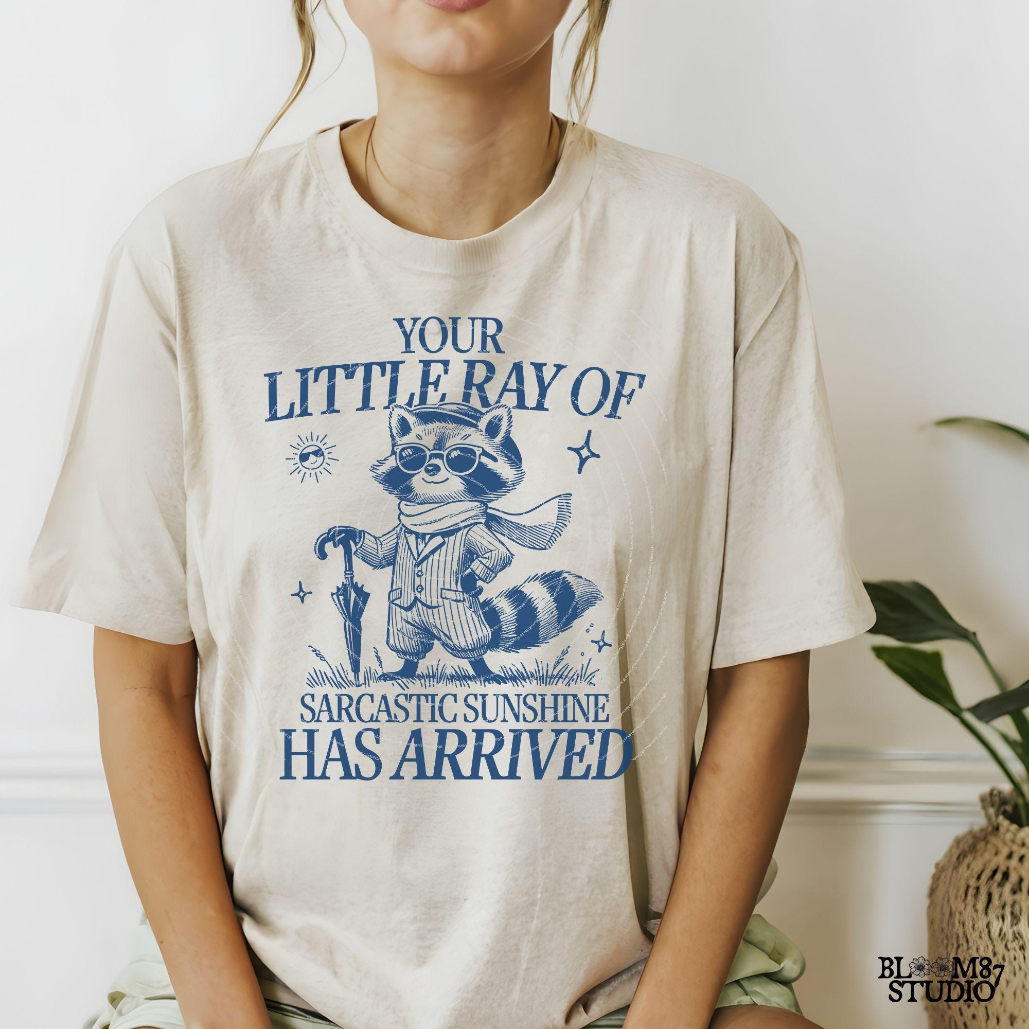 Your Little Ray Of Sarcastic Sunshine Has Arrived, Retro Funny Raccoon Shirt Design, Sarcastic Png, Sassy Meme Sublimation for Tees and more