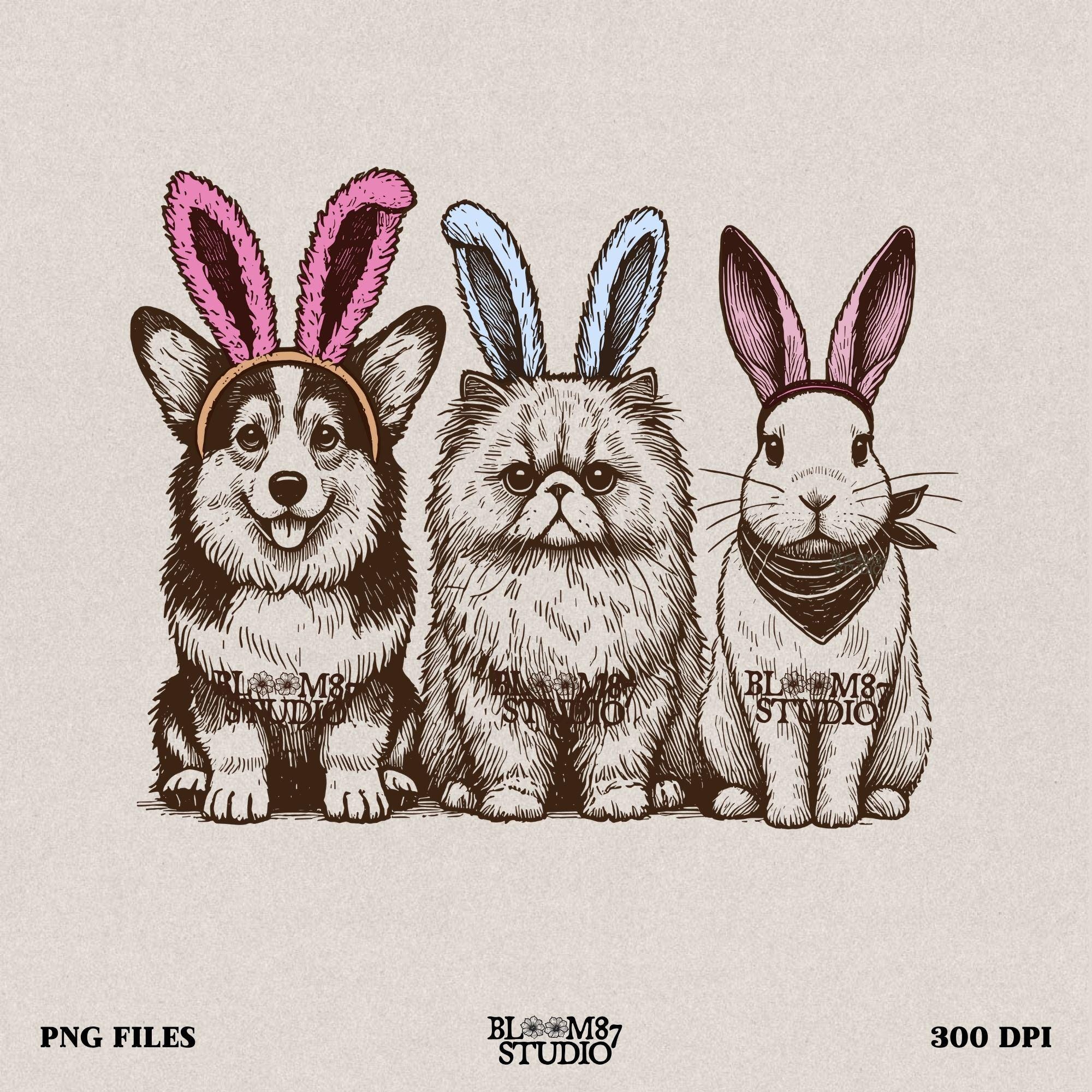 Corgi cat bunny PNG, Easter pet trio digital download, bunny ears animal design, cute spring pets PNG, sublimation Easter animals, funny pet graphic, transparent background PNG, Corgi cat bunny ears art, printable Easter pets for shirts