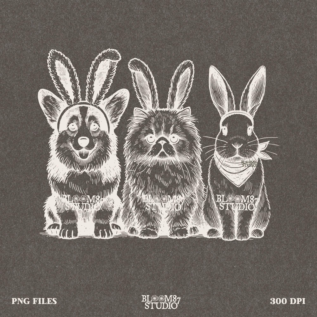 Corgi bunny ears PNG, cat with bunny ears, cute bunny rabbit PNG, Easter pet sublimation graphic, printable pet humor file, funny animal trio art, spring holiday pet design, Easter animal lovers download, sublimation PNG
