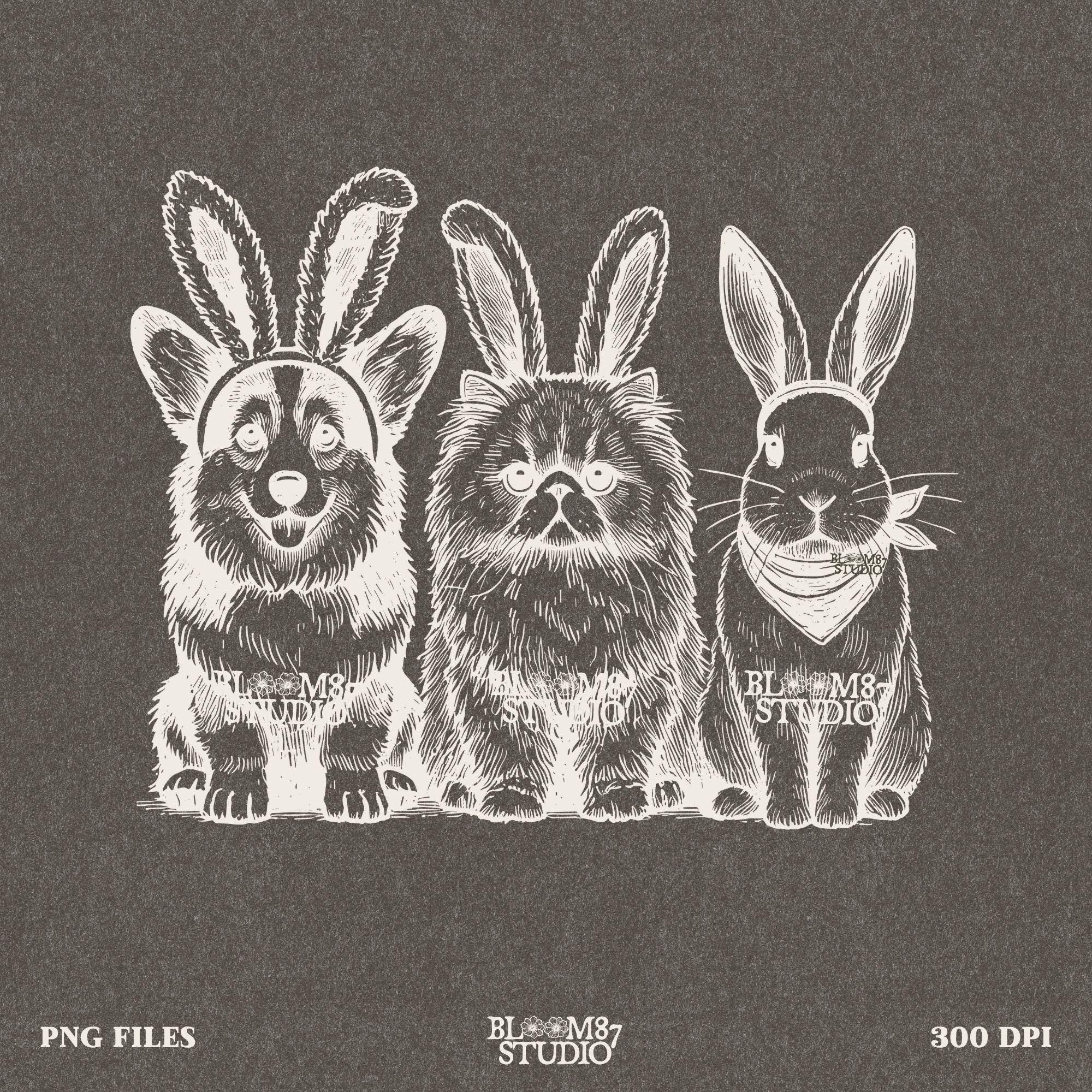 Corgi bunny ears PNG, cat with bunny ears, cute bunny rabbit PNG, Easter pet sublimation graphic, printable pet humor file, funny animal trio art, spring holiday pet design, Easter animal lovers download, sublimation PNG