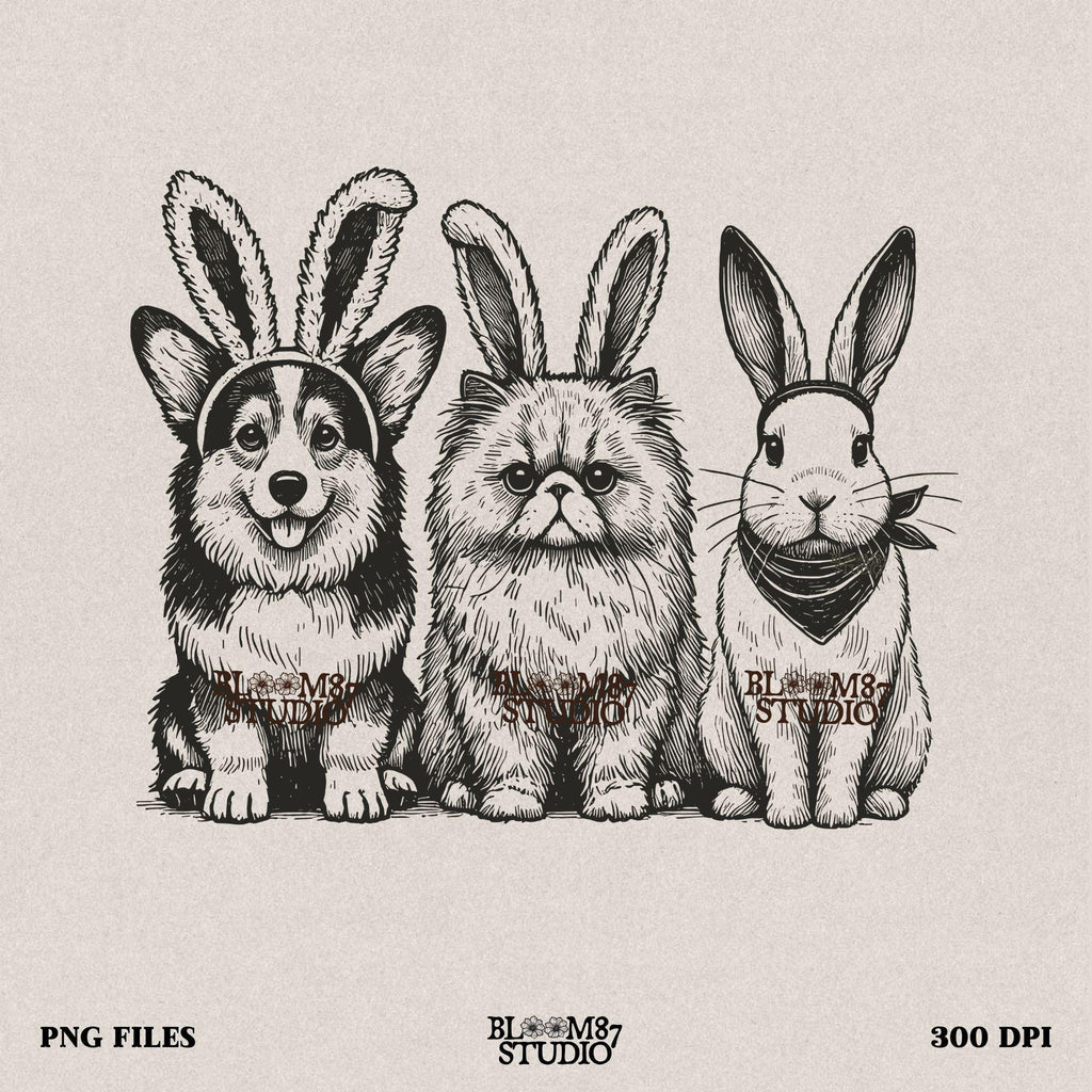 Funny Easter animal PNG, Corgi bunny cat design, digital file for pet lovers, spring animal sublimation, bunny costume pets PNG, cute pets Easter art, dog cat bunny download, DIY Easter shirt file, Easter humor animal trio