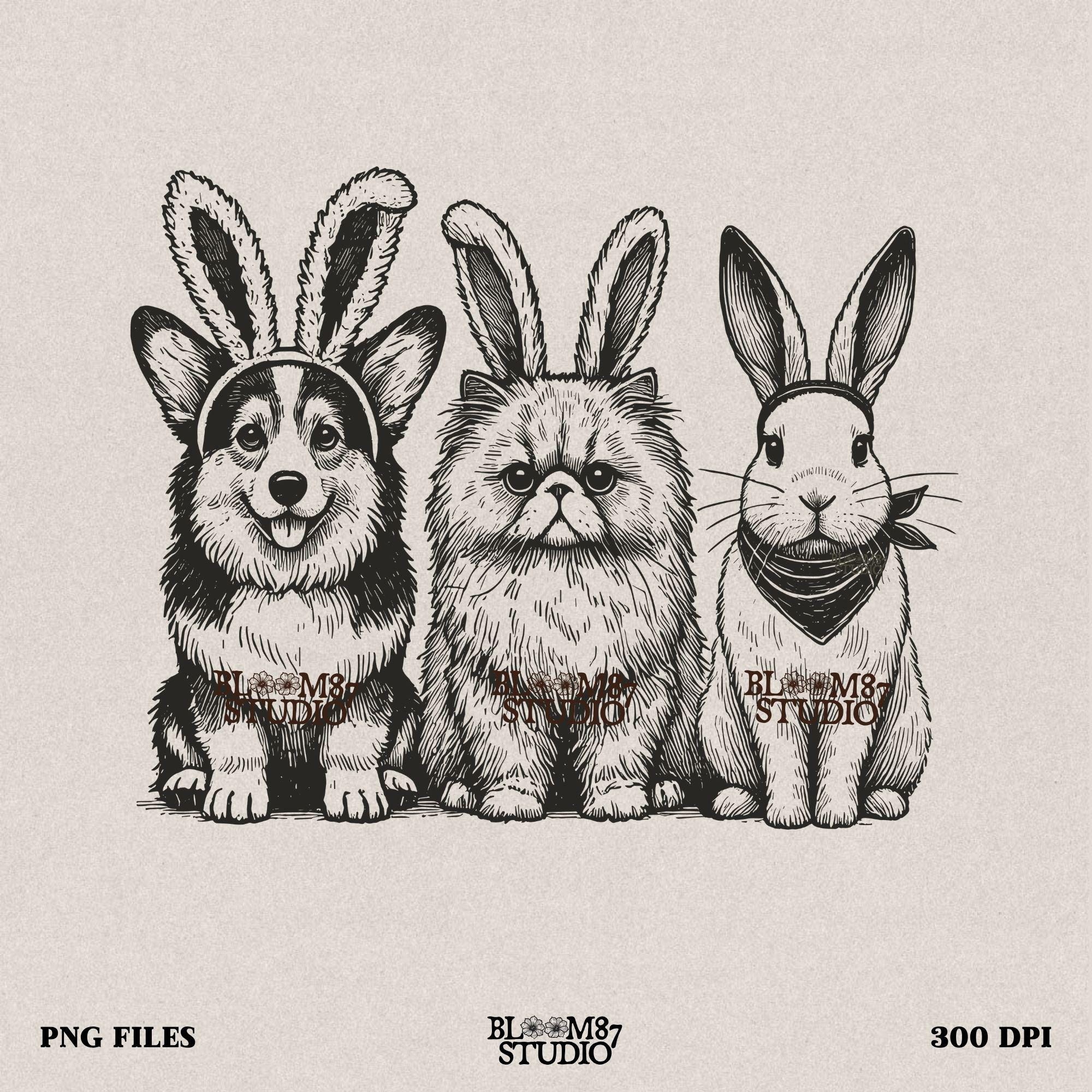 Funny Easter animal PNG, Corgi bunny cat design, digital file for pet lovers, spring animal sublimation, bunny costume pets PNG, cute pets Easter art, dog cat bunny download, DIY Easter shirt file, Easter humor animal trio