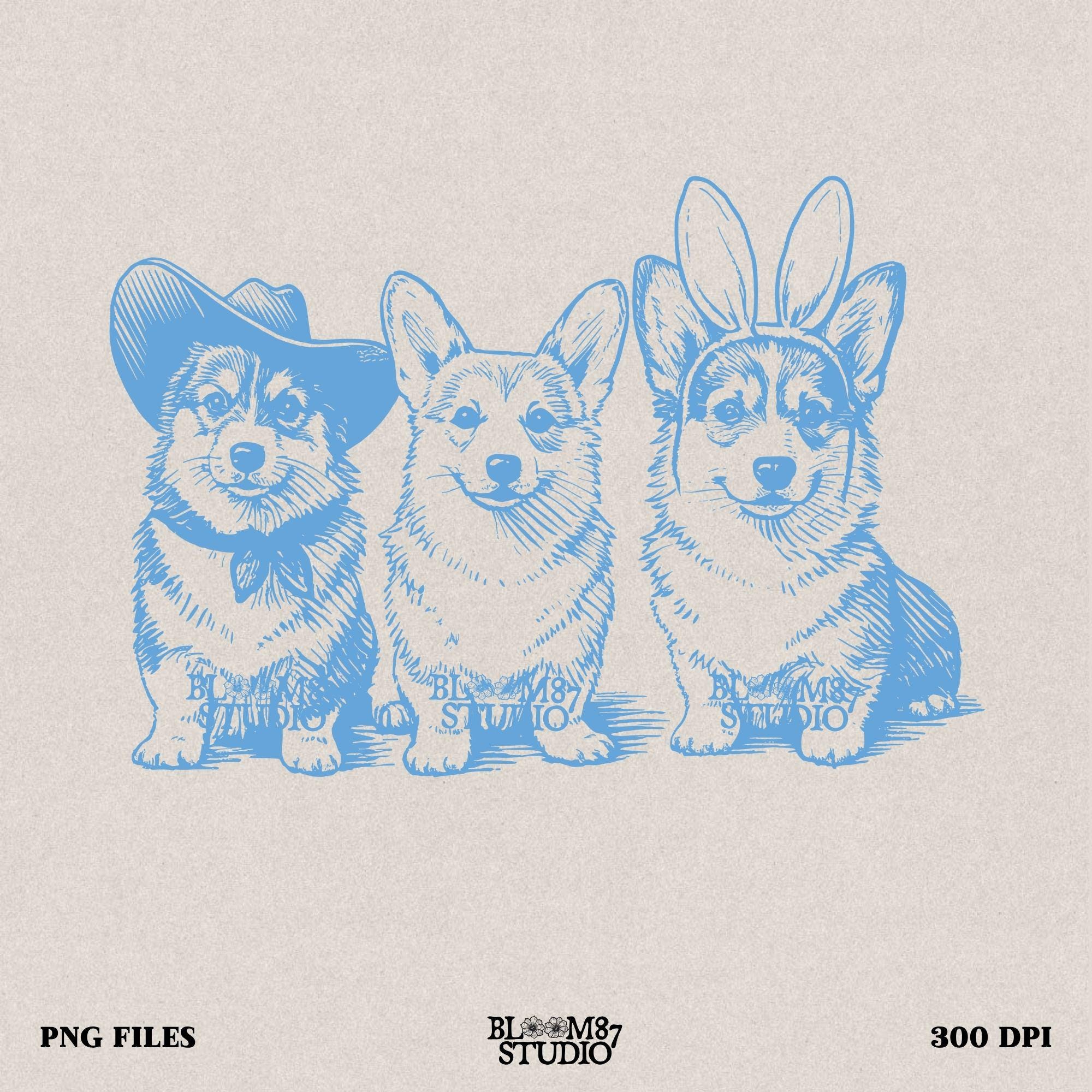 Easter corgi download, cowboy corgi PNG, corgi with bunny ears, dog sublimation trio, funny dog digital design, shirt transfer corgi, Easter sublimation art, corgi group art, dog lovers Easter gift