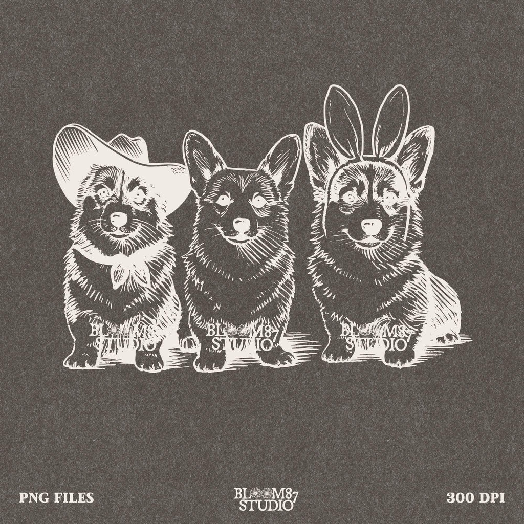 Corgi bunny ears, digital dog PNG, Easter trio pet design, sublimation file corgi, springtime dog art, cowboy dog art print, dog lovers PNG file, cute dog ears download, printable pet trio