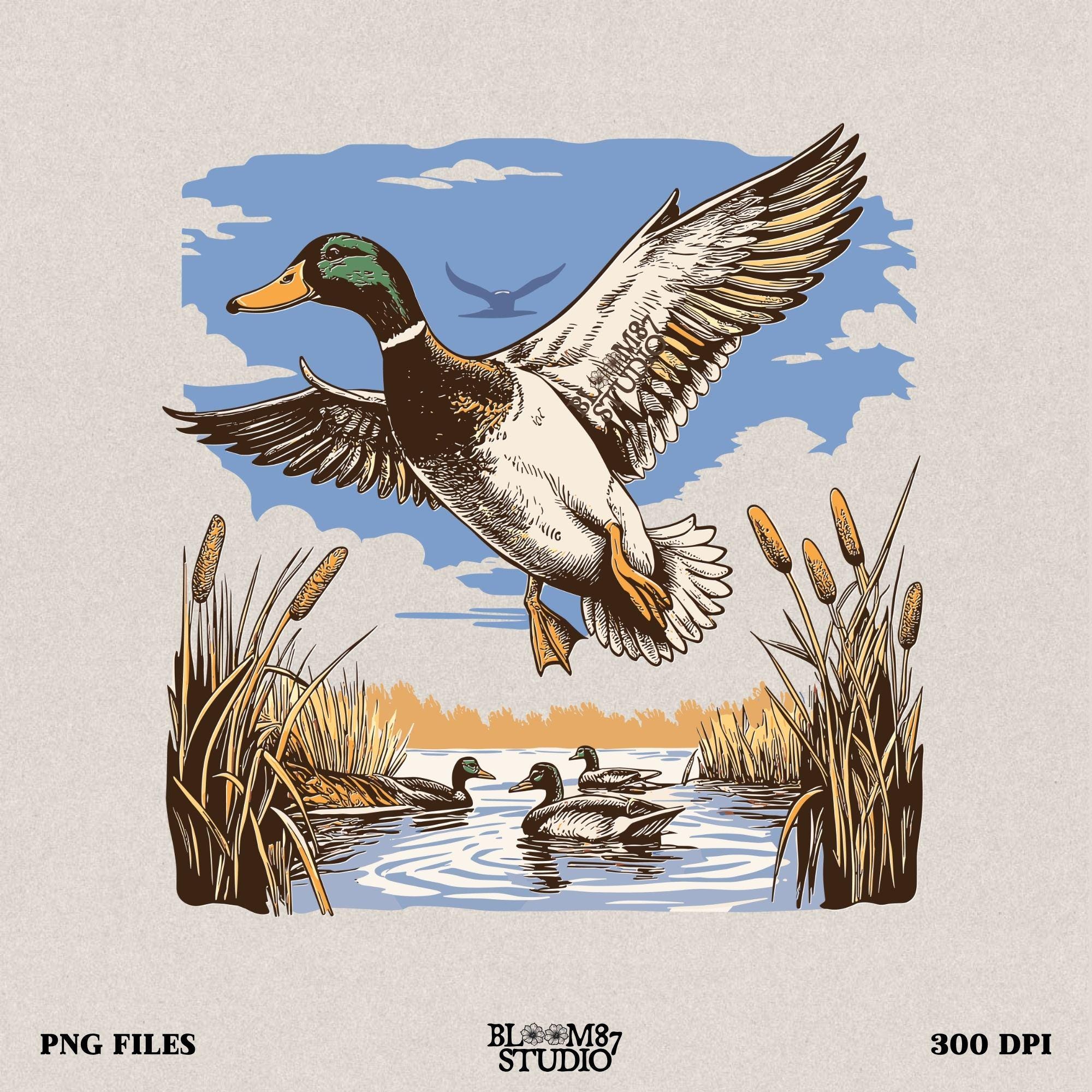 Mallard duck PNG featuring a detailed mallard taking flight over a wetlands scene, perfect for hunting and nature lovers.