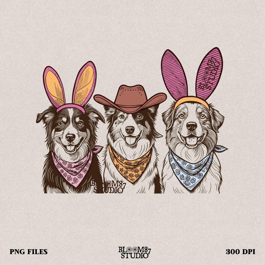 Australian Shepherd Easter PNG featuring three Aussie dogs in bunny ears and cowboy hat, perfect for country dog lovers.