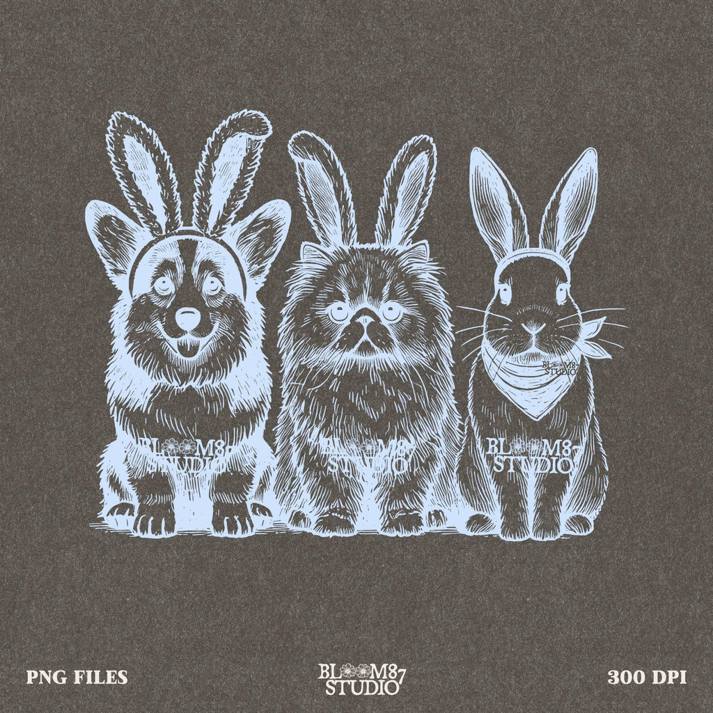 Easter Corgi cat bunny art, whimsical pet design PNG, pet lovers Easter file, digital trio with bunny ears, spring printable pets, animal graphic download, cute dog cat rabbit shirt PNG, bunny costume pets
