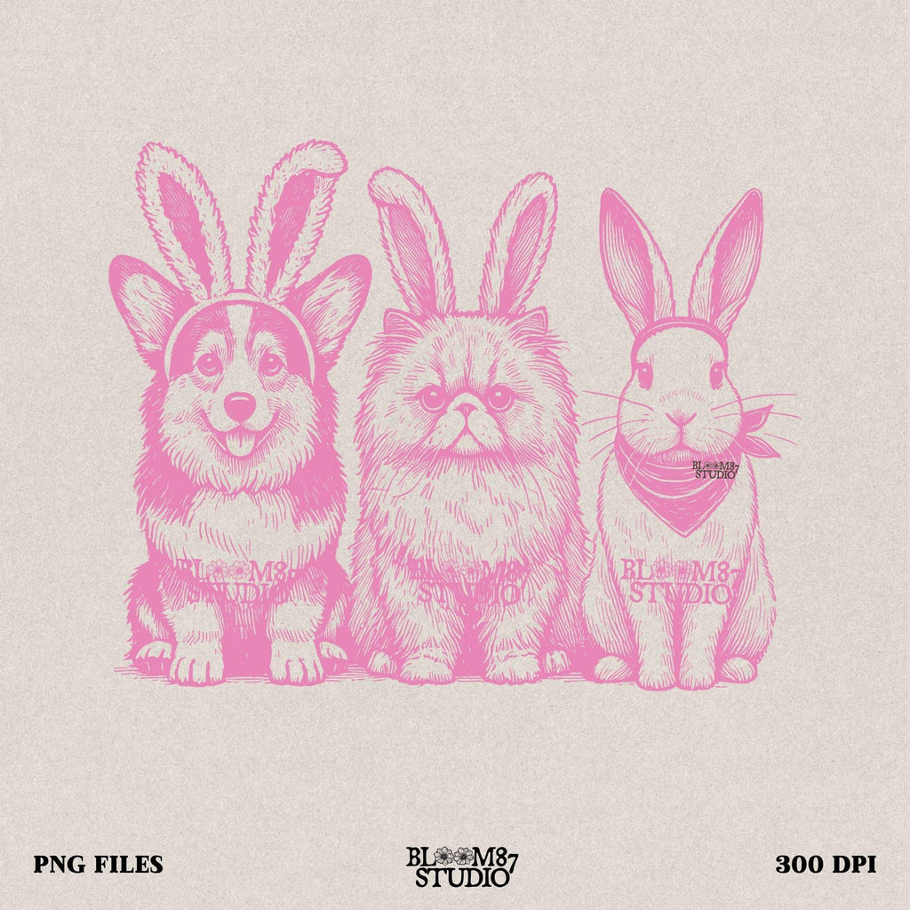 Digital animal trio Easter PNG, Corgi cat bunny with ears, cute and funny springtime design, Easter printable sublimation art, pet humor design, Easter pet decor PNG, transparent background trio file