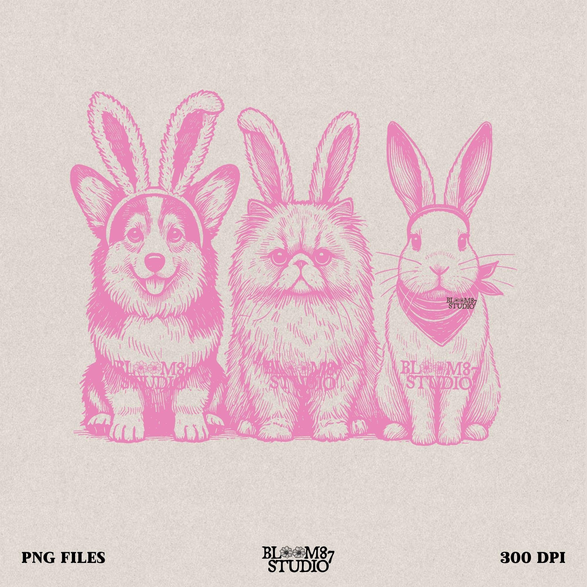 Digital animal trio Easter PNG, Corgi cat bunny with ears, cute and funny springtime design, Easter printable sublimation art, pet humor design, Easter pet decor PNG, transparent background trio file