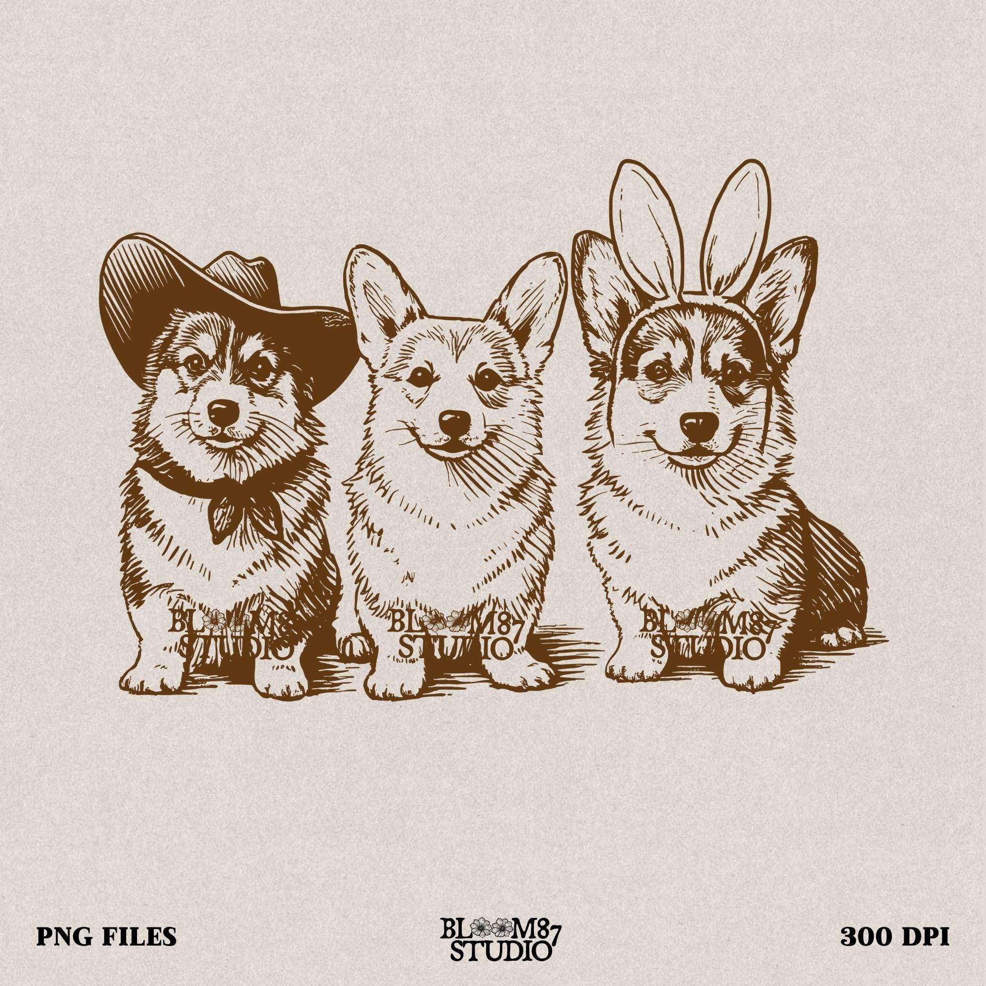 Funny corgi PNG, cowboy hat corgi design, Easter corgi bunny clip free, sublimation file for dog lovers, three dog PNG, dog trio spring art, dog shirt PNG, transparent dog download, digital corgi group