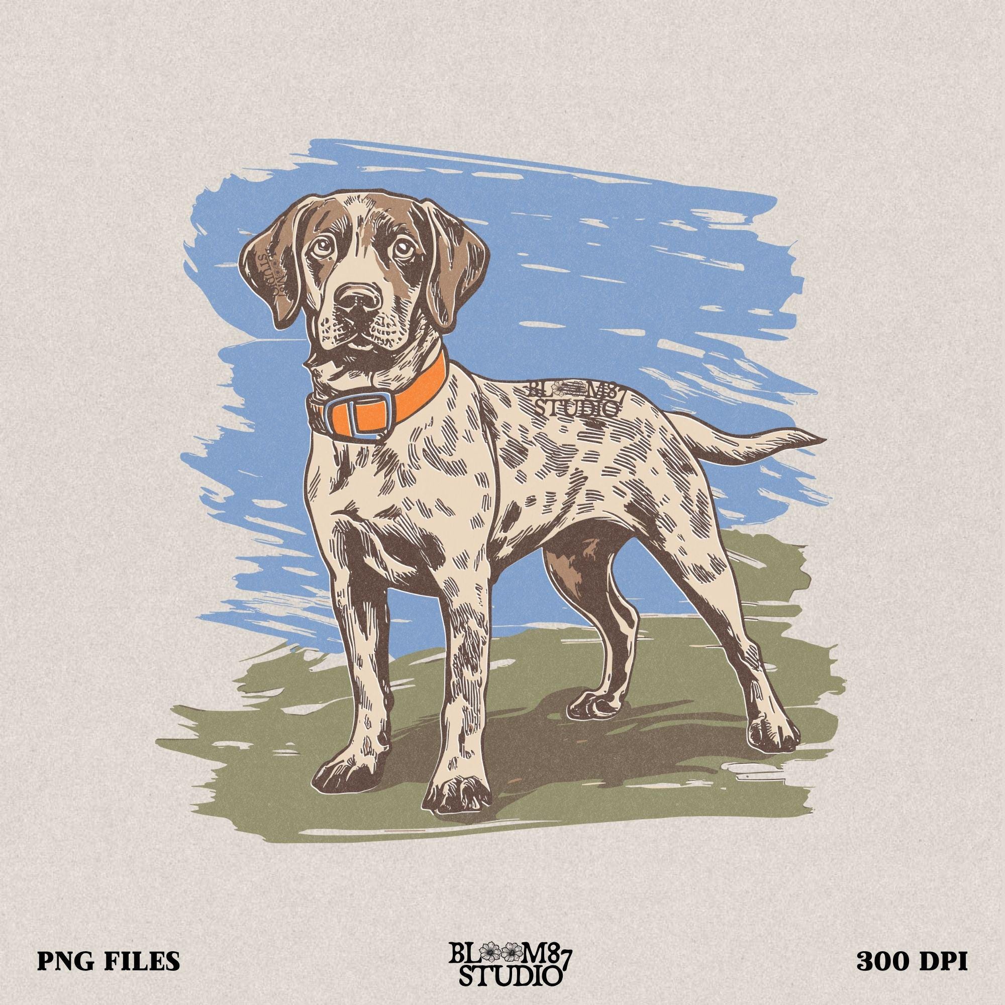 German shorthaired pointer PNG, hunting dog clipart, GSP digital download, upland game dog PNG, bird dog sublimation, German pointer design, gundog silhouette PNG, sporting dog printable, pointer breed PNG, dog hunting art, GSP dog design, rustic dog clipart, high resolution GSP PNG, short hair pointer file, working dog PNG, dog hunting file, field dog art, GSP shirt transfer, dog breed image, hunting season PNG