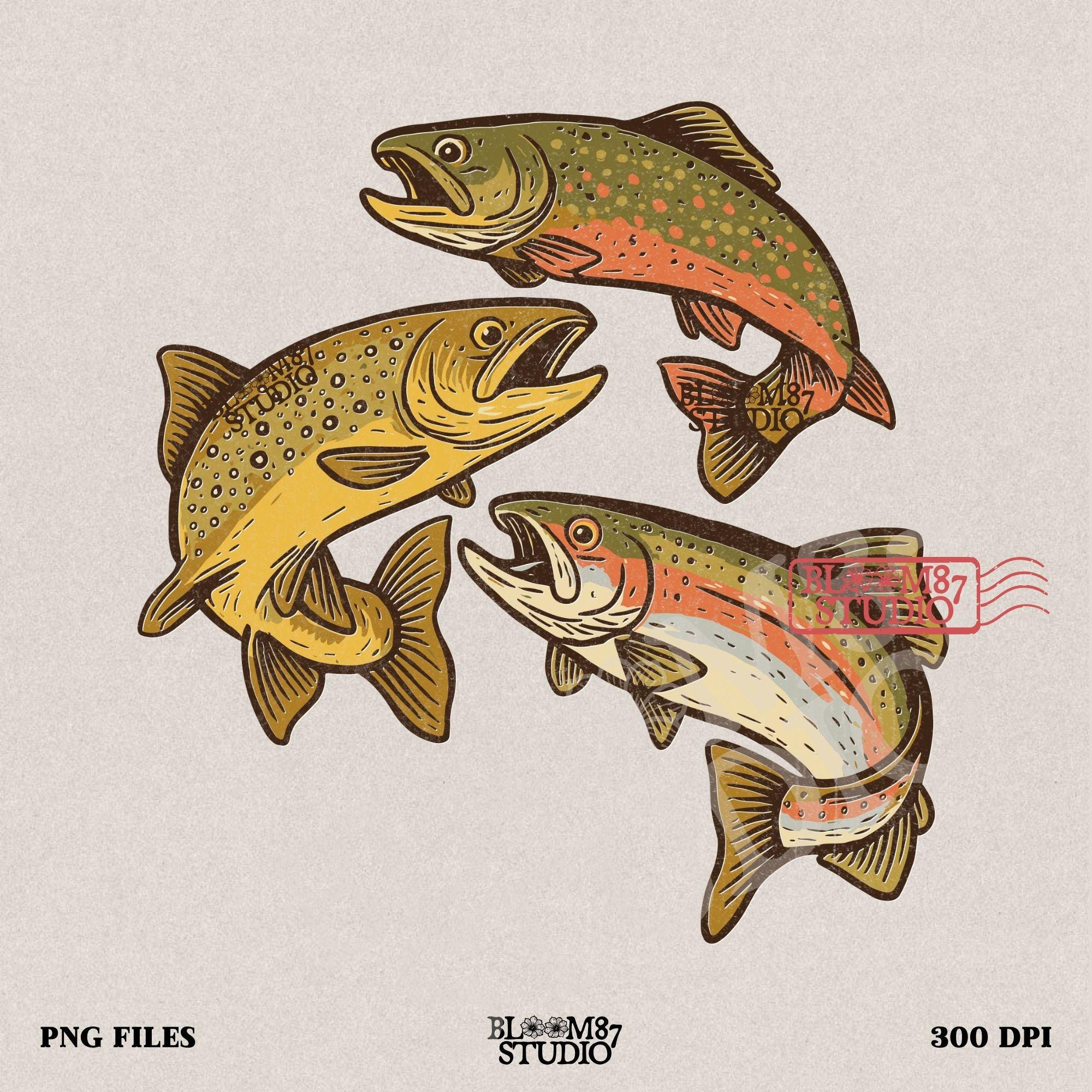 Illustration of rainbow trout, brook trout, and brown trout in colorful, vintage-style drawing with open mouths and detailed markings.