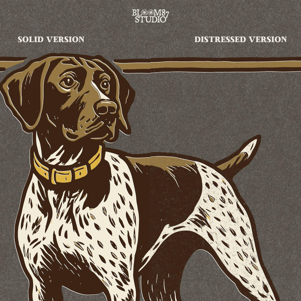 Vintage illustration of a German Shorthaired Pointer standing in grass with a framed border – rustic hunting dog PNG for sublimation.