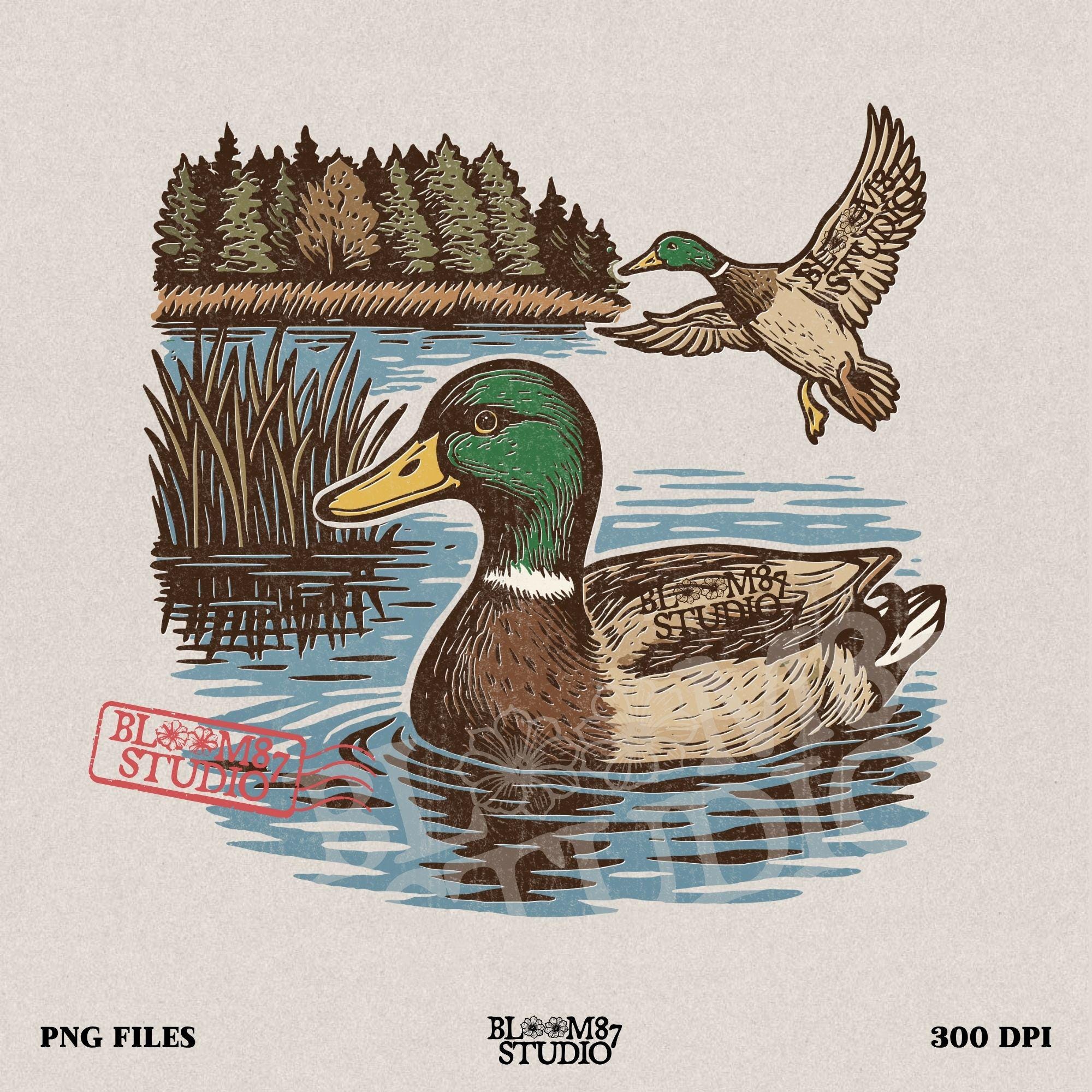 Two mallard ducks in a peaceful summer lake scene with pine trees and blue water, one swimming and one flying.