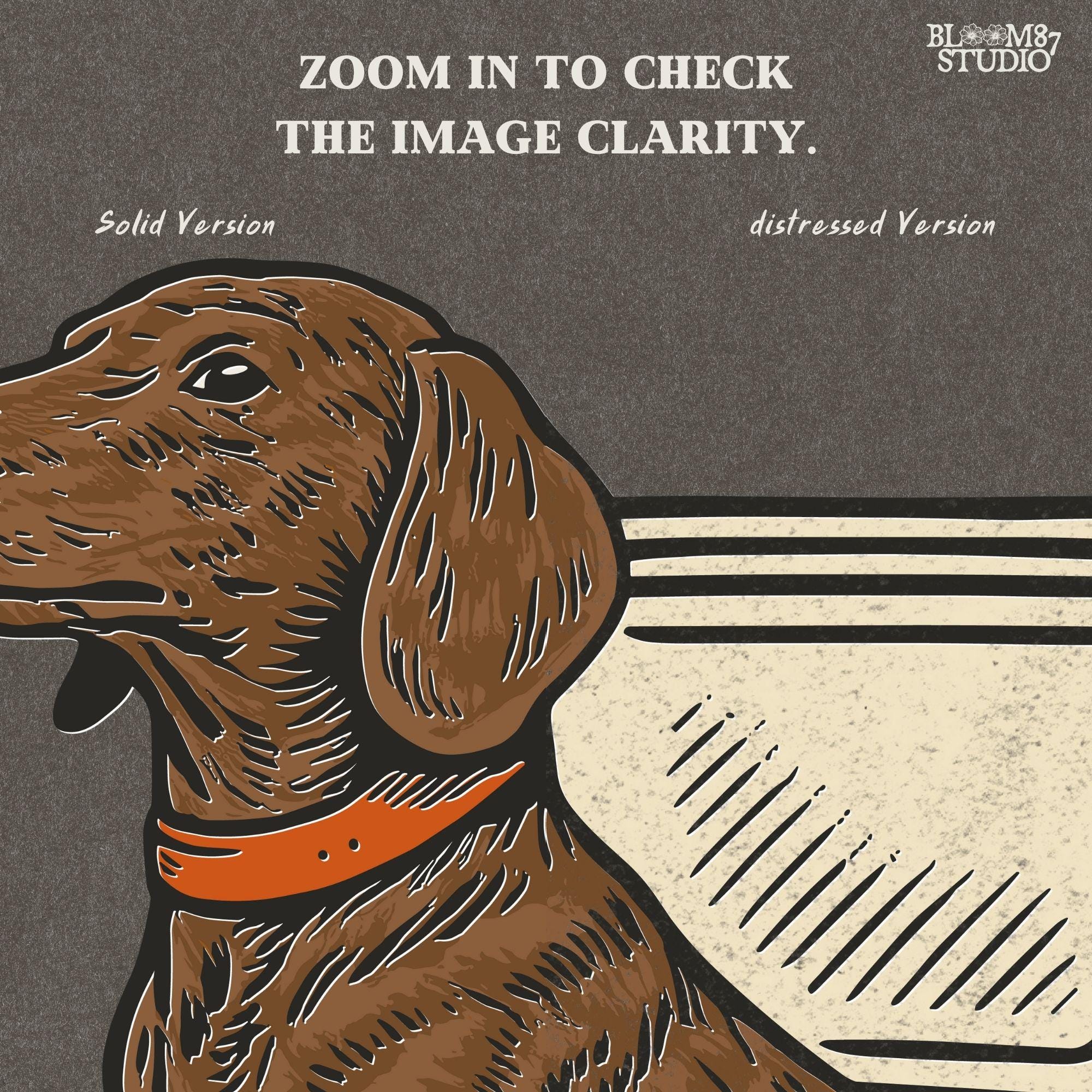 Brown dachshund dog sitting in camouflage cooler labeled “USA” with a red collar, drawn in patriotic cartoon style