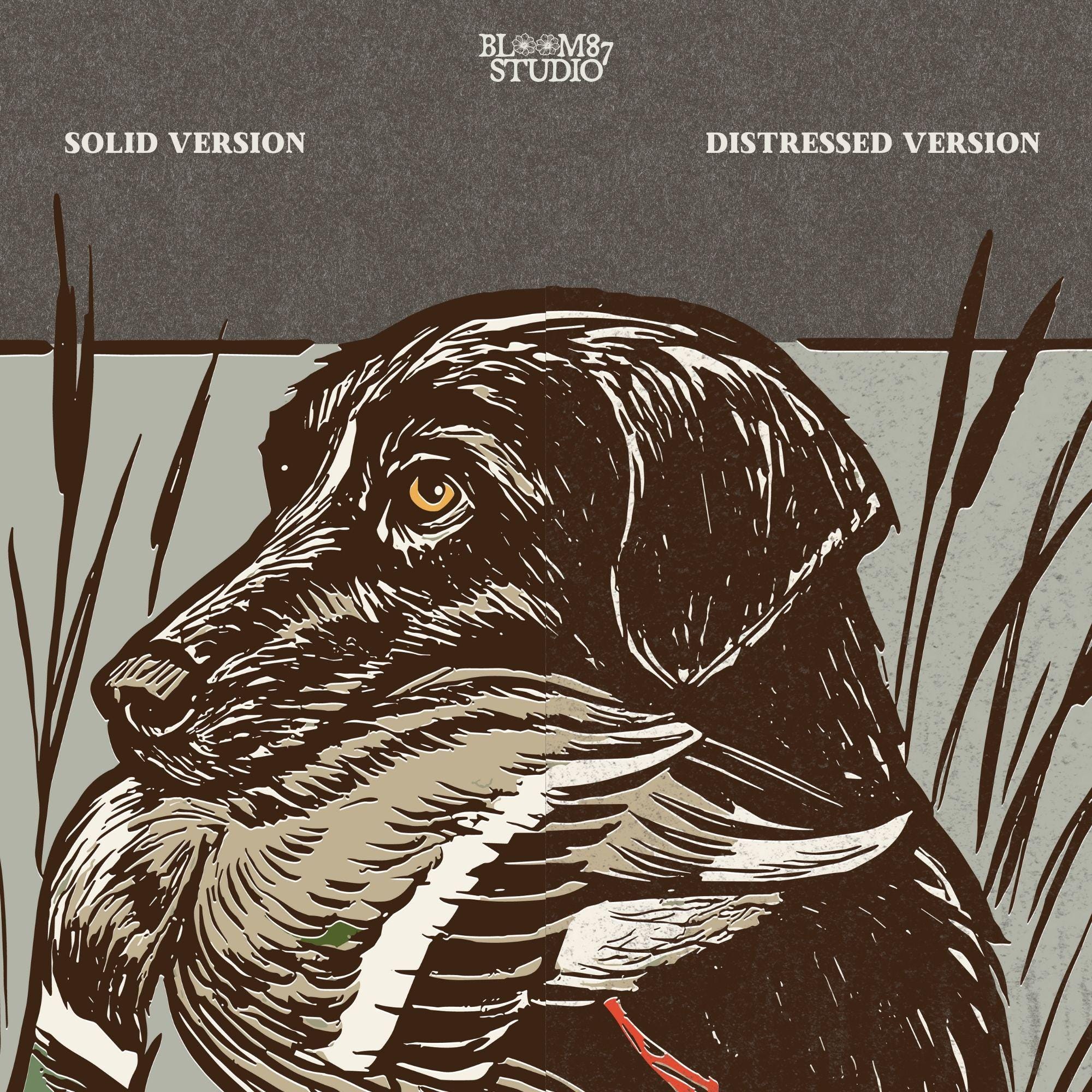 black labrador retriever with mallard duck, duck hunting dog in marsh grass, vintage outdoor hunting design, mallard duck art illustration