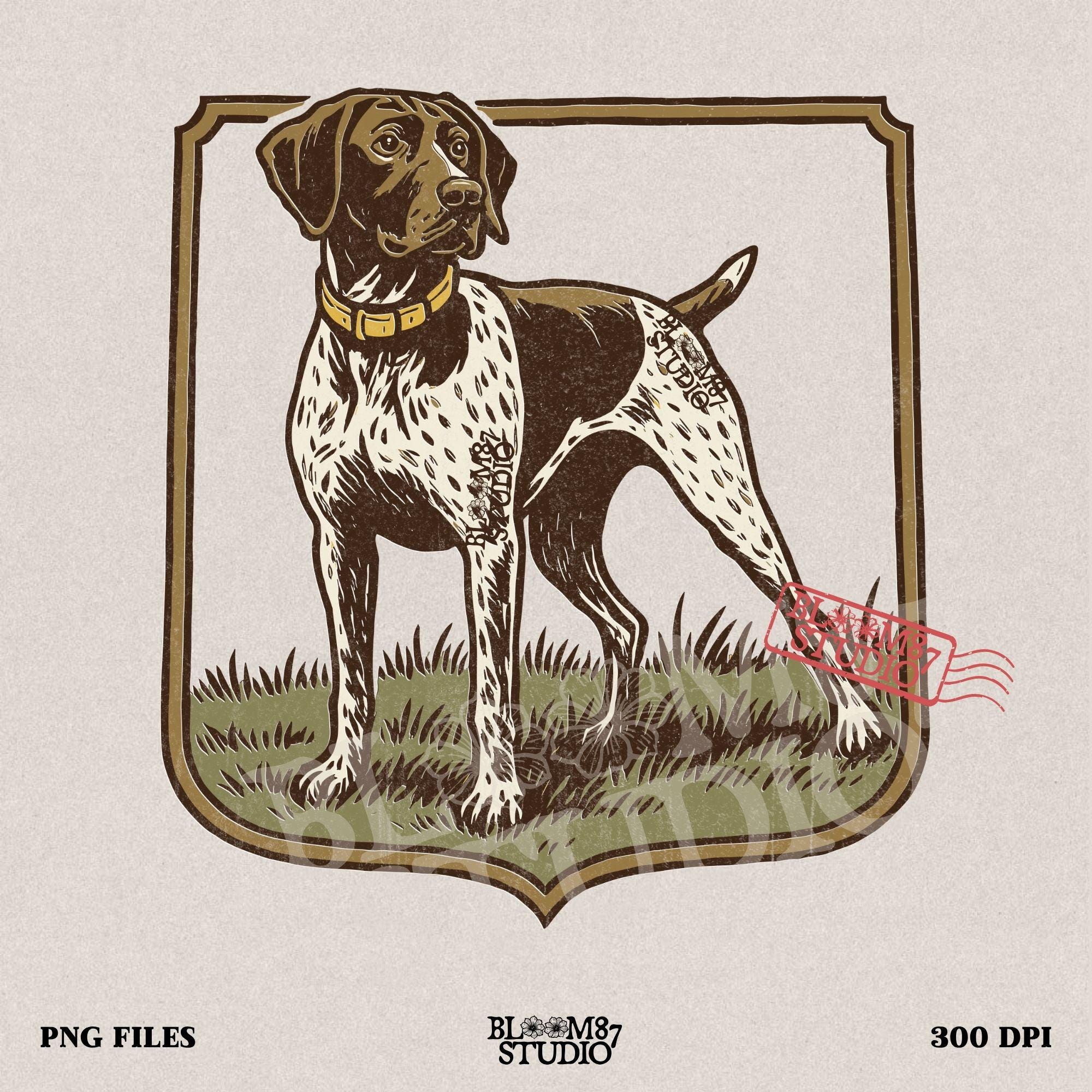 Vintage illustration of a German Shorthaired Pointer standing in grass with a framed border – rustic hunting dog PNG for sublimation.