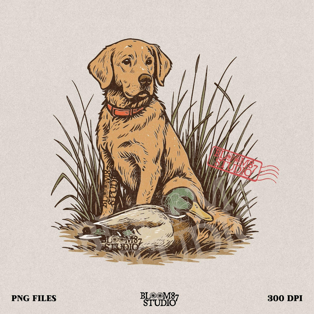 Vintage illustration of a golden Labrador Retriever sitting in grass beside a mallard duck – rustic hunting dog PNG for sublimation and crafts.