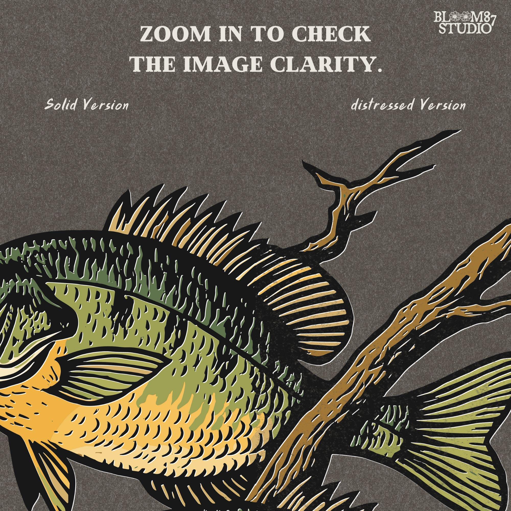 Two vintage-style bluegill fish swimming with underwater branches – realistic rustic PNG for sublimation shirts, signs, and fishing gifts.