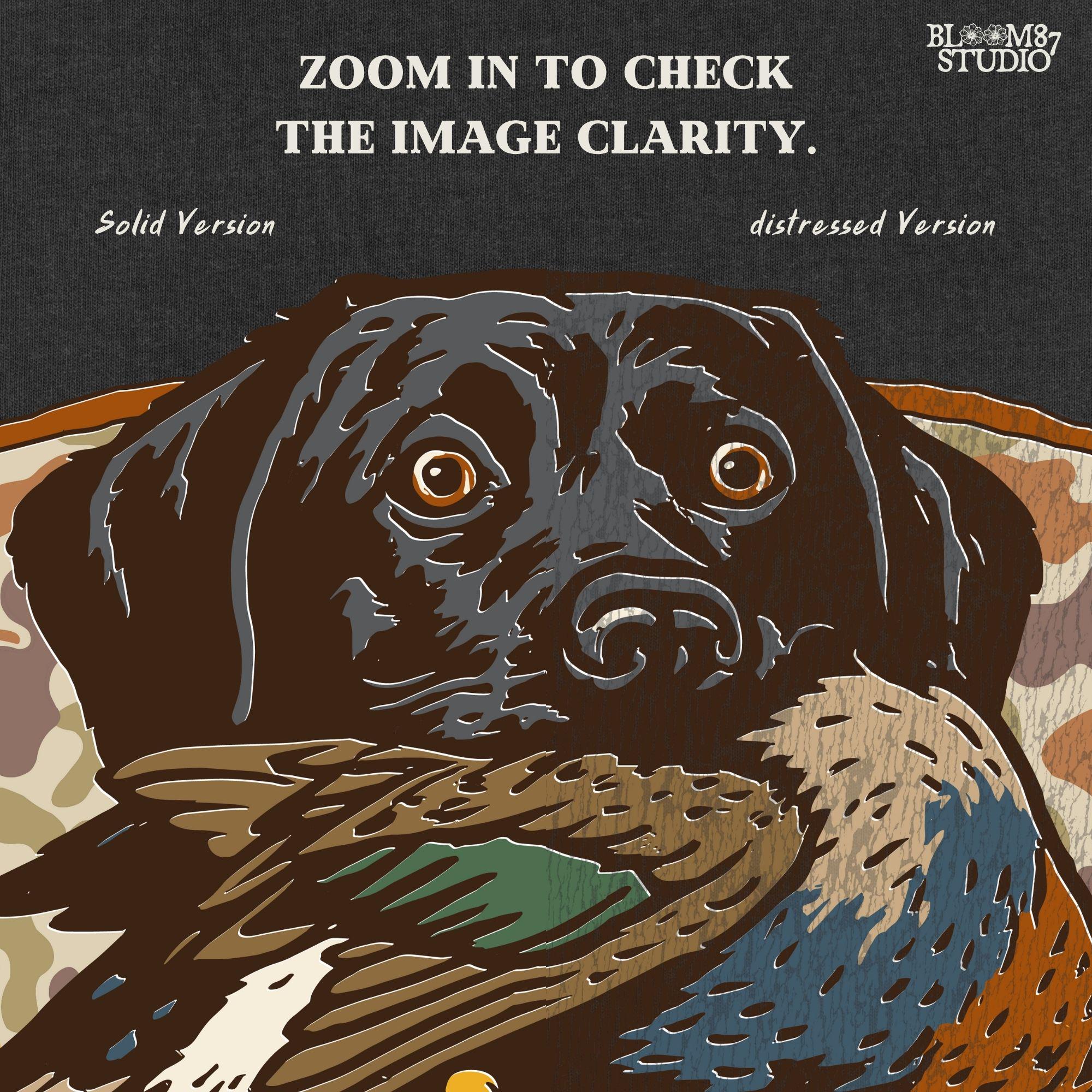 Vintage-style illustration of a black Labrador retriever holding a mallard duck in its mouth with a camouflage background, ideal for duck hunting designs.