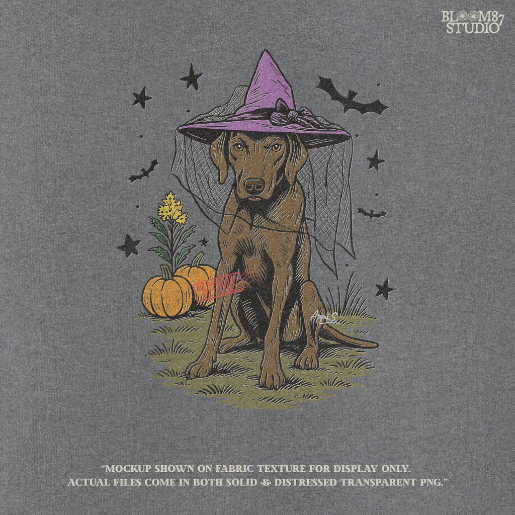 Illustration of a brown labrador wearing a witch hat, sitting in grass with pumpkins and stars in the background, in Halloween spooky style.