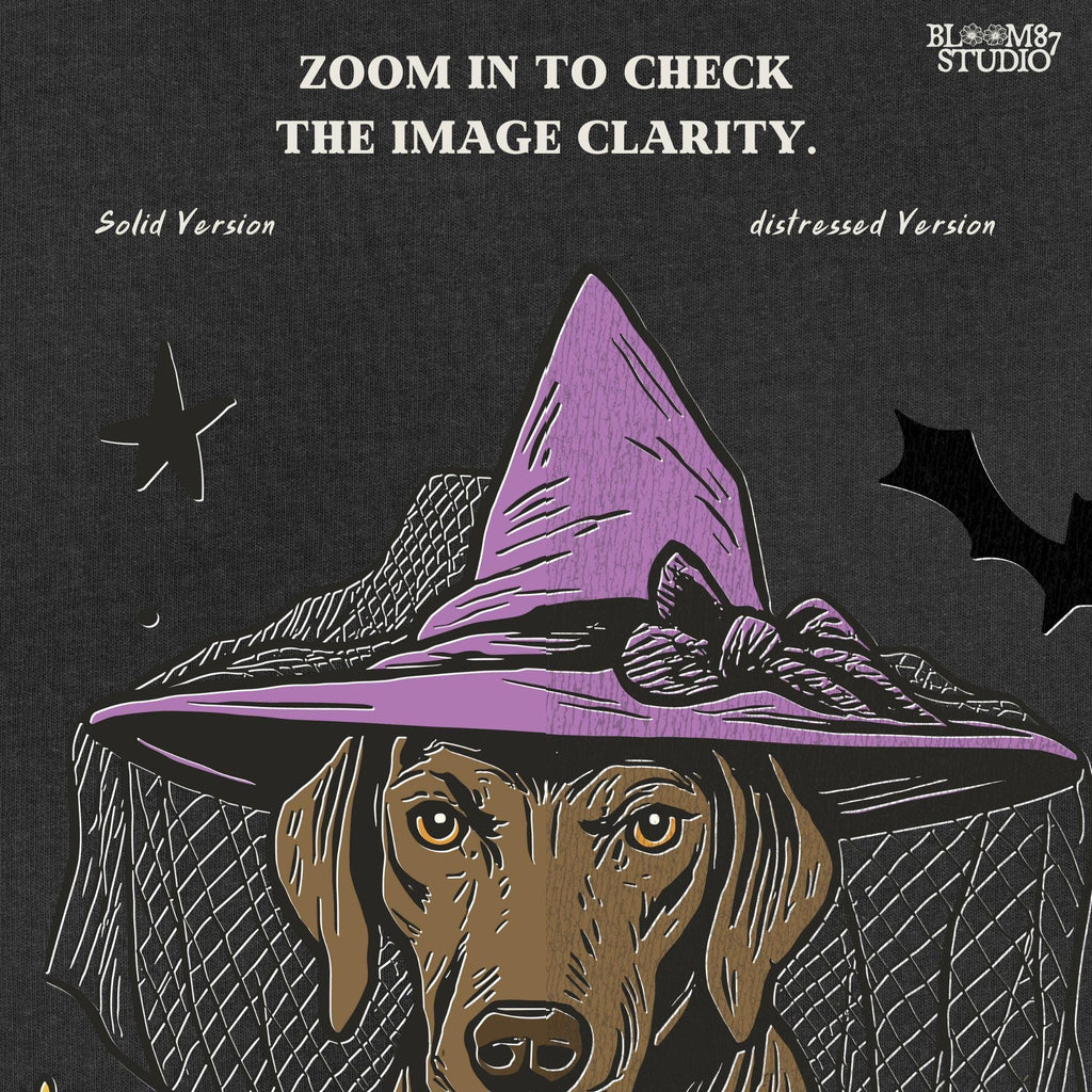 Illustration of a brown labrador wearing a witch hat, sitting in grass with pumpkins and stars in the background, in Halloween spooky style.