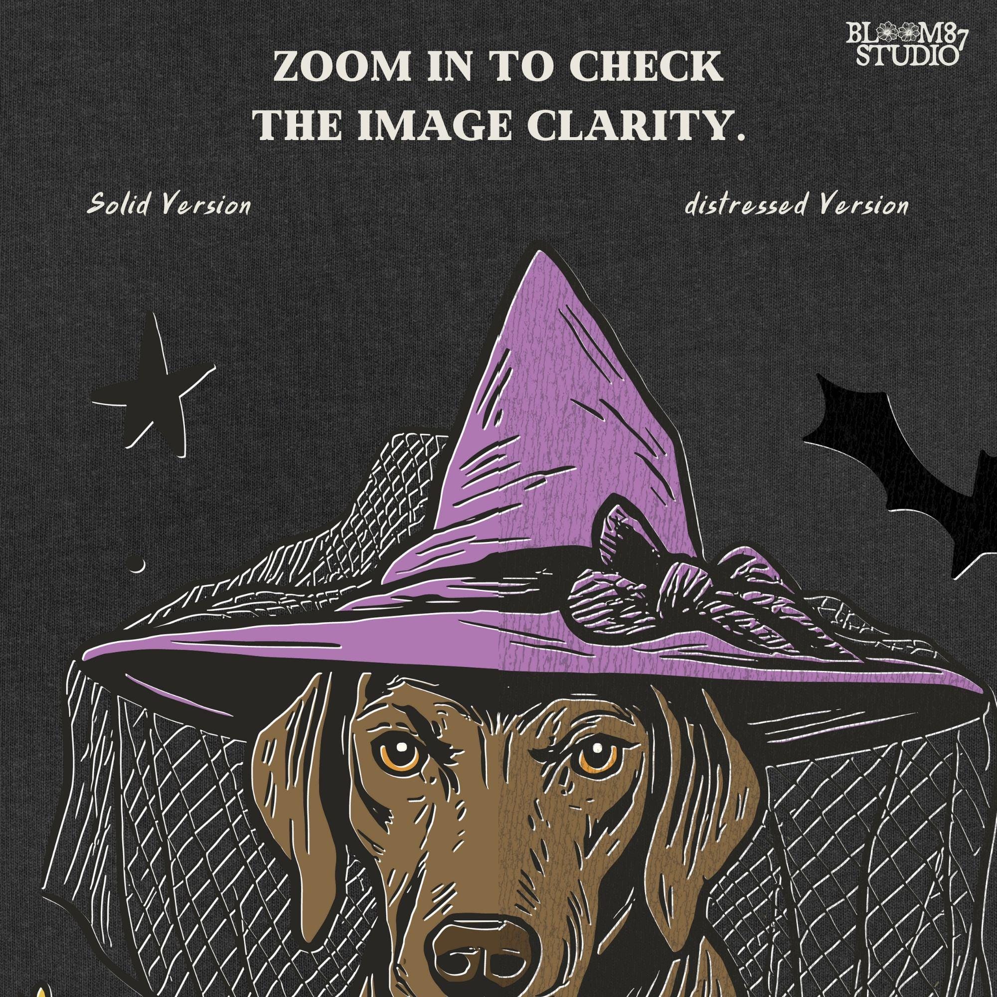 Illustration of a brown labrador wearing a witch hat, sitting in grass with pumpkins and stars in the background, in Halloween spooky style.
