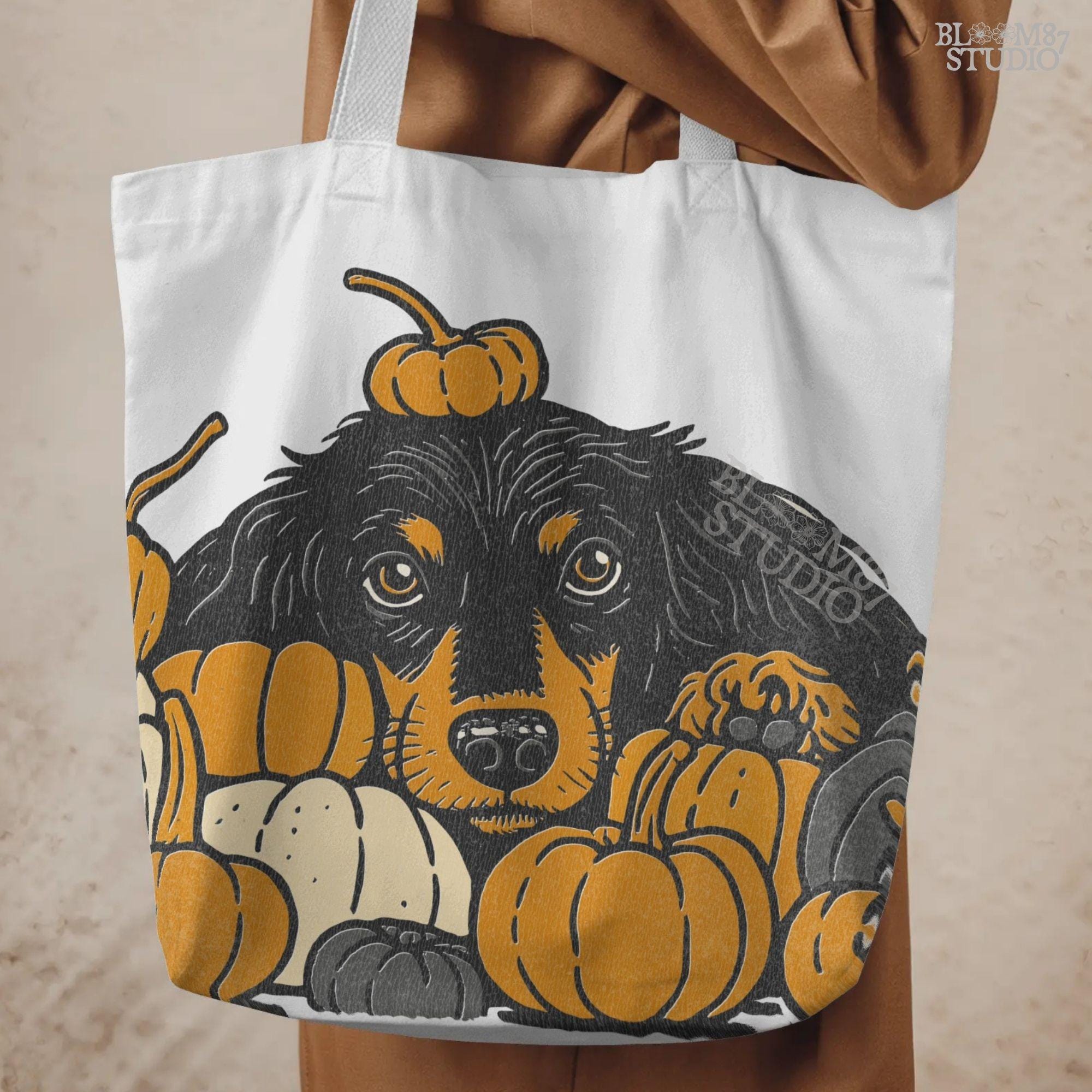 Long-haired dachshund surrounded by fall pumpkins in orange, cream, and gray tones, perfect for autumn sublimation designs and shirts