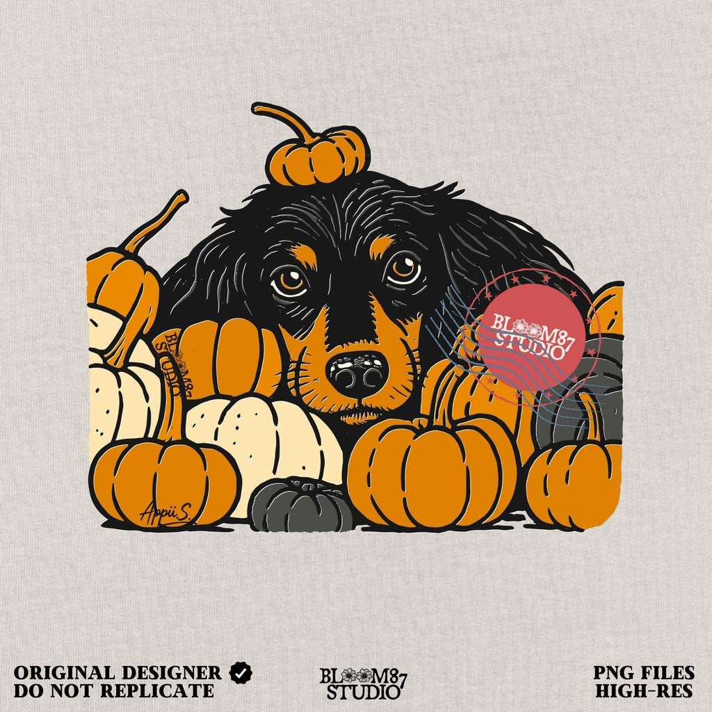 Long-haired dachshund surrounded by fall pumpkins in orange, cream, and gray tones, perfect for autumn sublimation designs and shirts