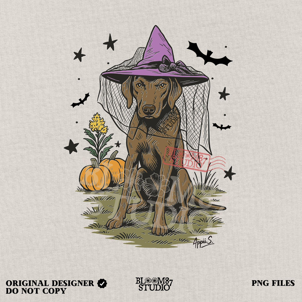Illustration of a brown labrador wearing a witch hat, sitting in grass with pumpkins and stars in the background, in Halloween spooky style.