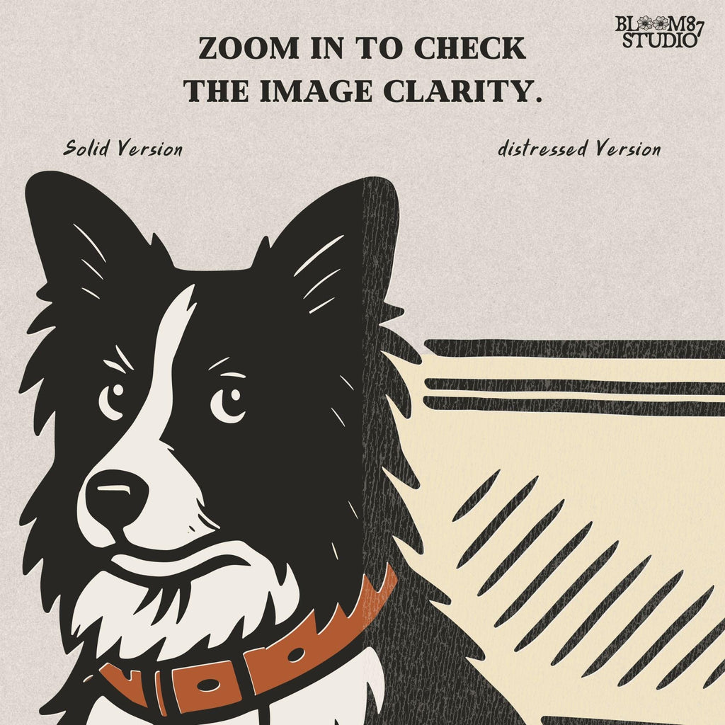 Illustration of a Border Collie sitting inside a camouflage cooler labeled “USA,” rustic farm and ranch-themed sublimation PNG design