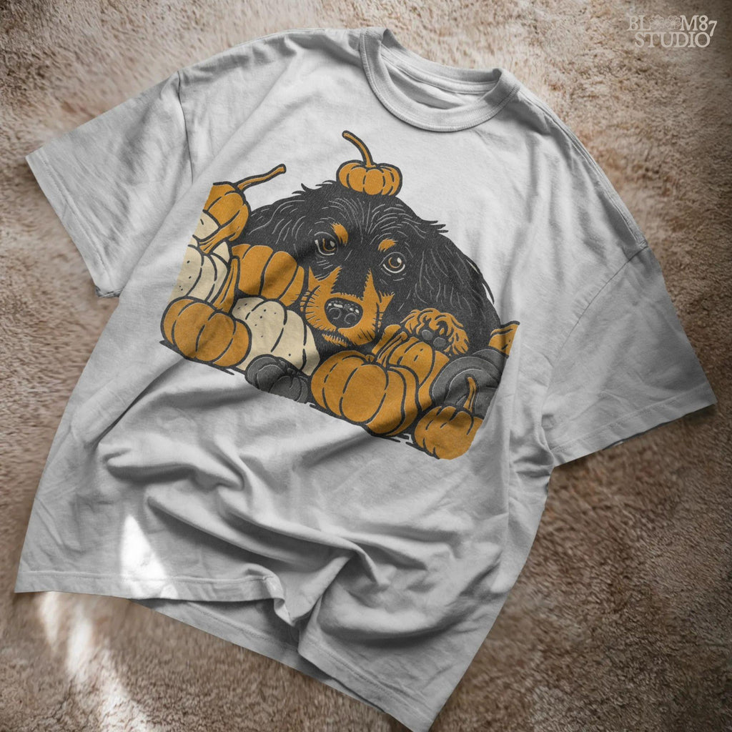 Long-haired dachshund surrounded by fall pumpkins in orange, cream, and gray tones, perfect for autumn sublimation designs and shirts