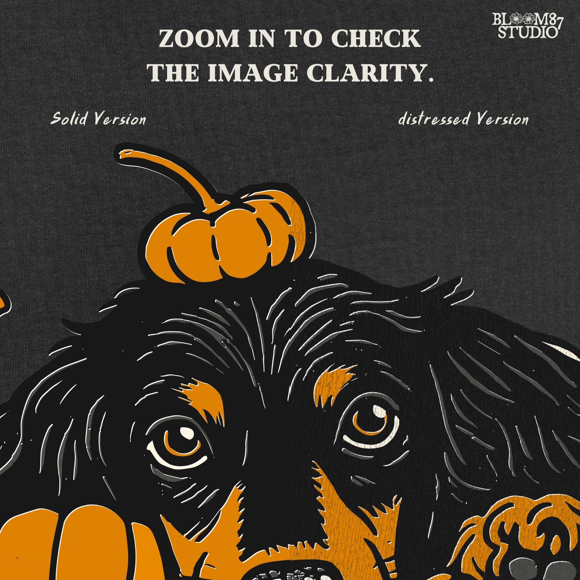 Long-haired dachshund surrounded by fall pumpkins in orange, cream, and gray tones, perfect for autumn sublimation designs and shirts