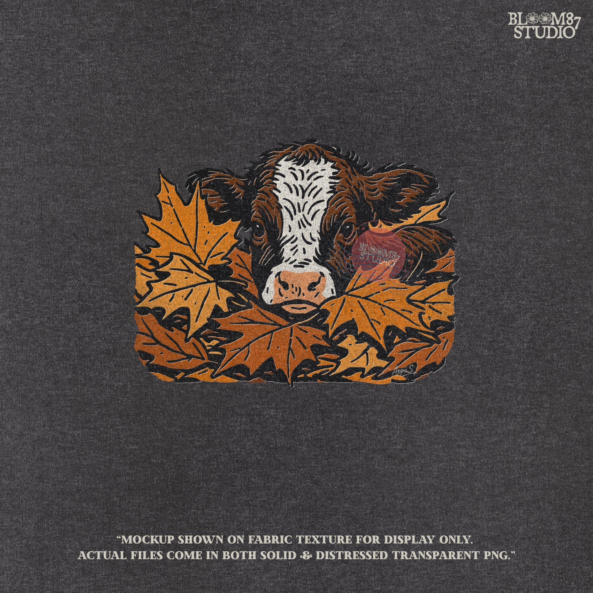 Cute brown and white highland calf resting in a pile of orange and brown fall maple leaves, perfect for autumn sublimation projects