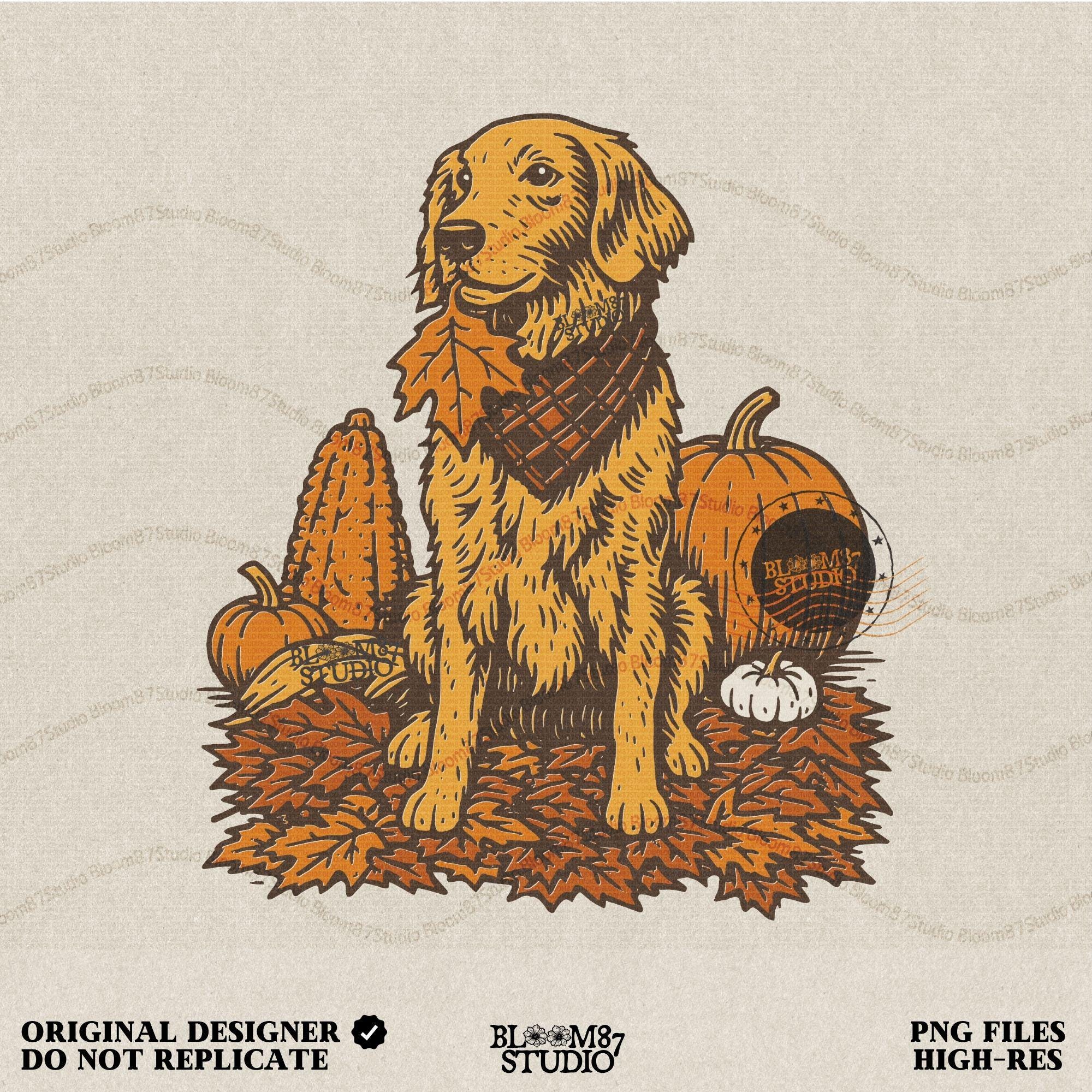 Illustration of a golden retriever dog with a scarf sitting among pumpkins, corn, and autumn leaves, perfect for fall sublimation and Thanksgiving décor designs