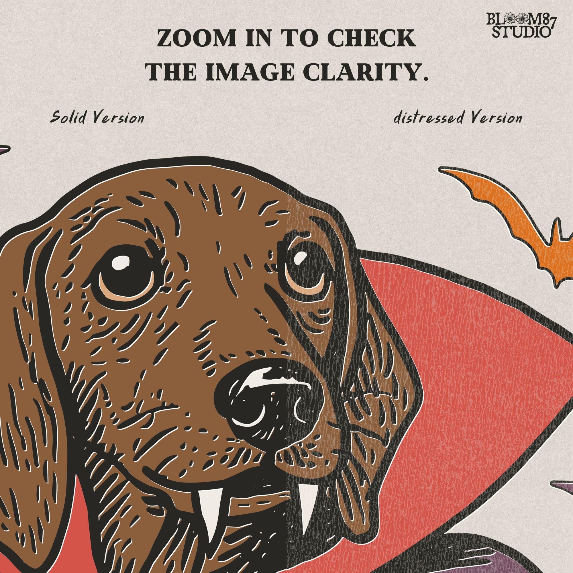 Cute dachshund dressed as a Halloween vampire with red and purple cape, fangs, and surrounded by bats on transparent background.