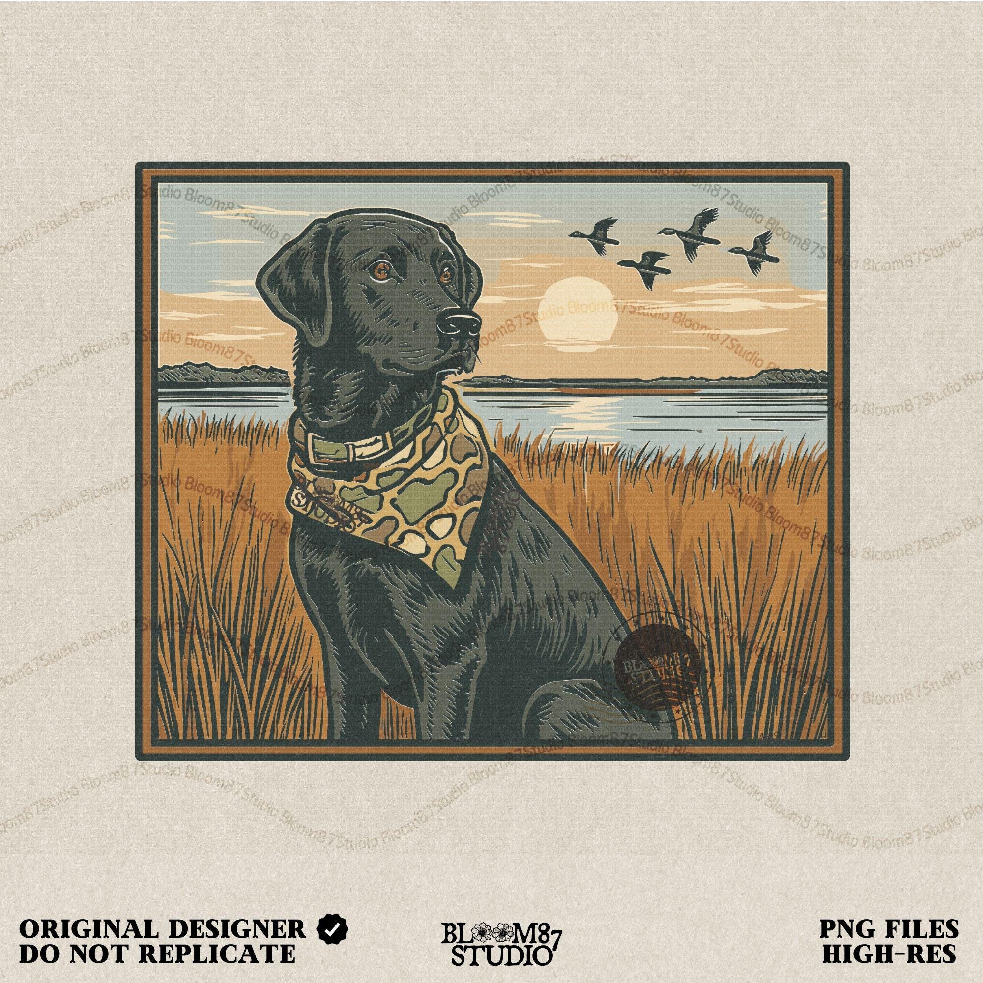 Local Boy Duck Hunting Dog PNG, Black Lab Marsh Sunset Sublimation, Camo Bandana Hunting Dog PNG, Southern Outdoor Dog PNG,Waterfowl Dog Png