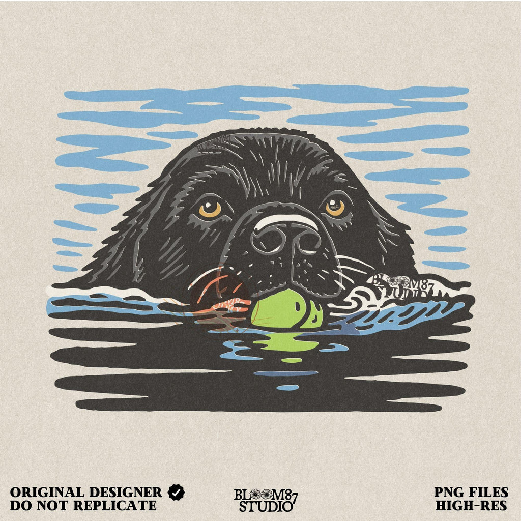 Black Labrador retriever swimming in water while holding a green tennis ball, drawn in vintage style for sublimation and dog lover projects.