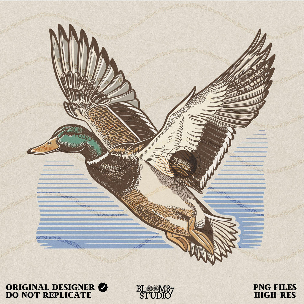 Mallard duck hunting PNG, birdwatching gift design, nature wildlife PNG, classic mallard flying image, retro duck art for apparel, duck call shirt graphic, beautiful feather detail digital file, duck soaring above water line, outdoor sporting printable