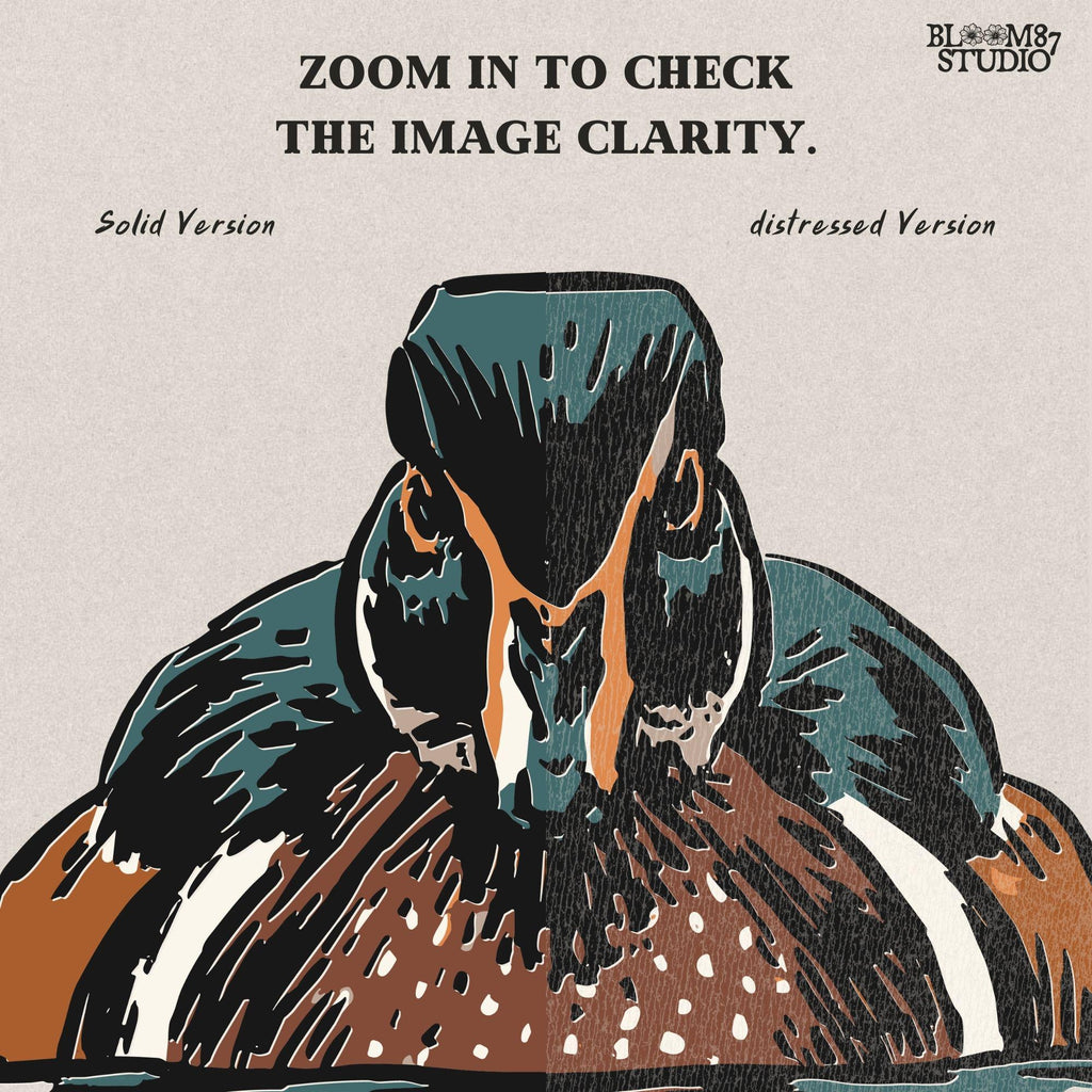 Illustration of a drake wood duck with chestnut, teal, and white plumage swimming on calm water, hunting-themed PNG sublimation design