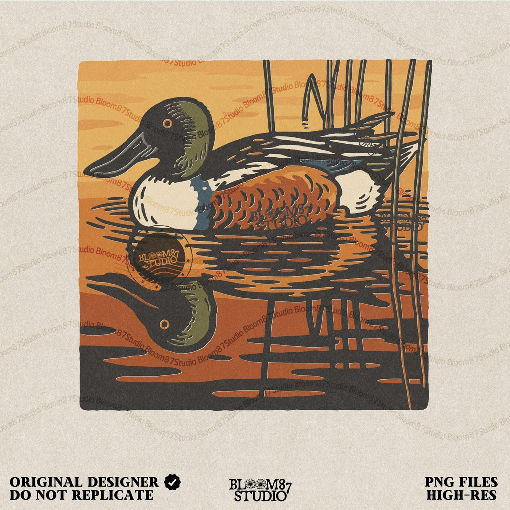 Illustration of a Northern Shoveler duck swimming in a marsh pond at sunset with warm orange and brown reflections, digital PNG for sublimation crafts