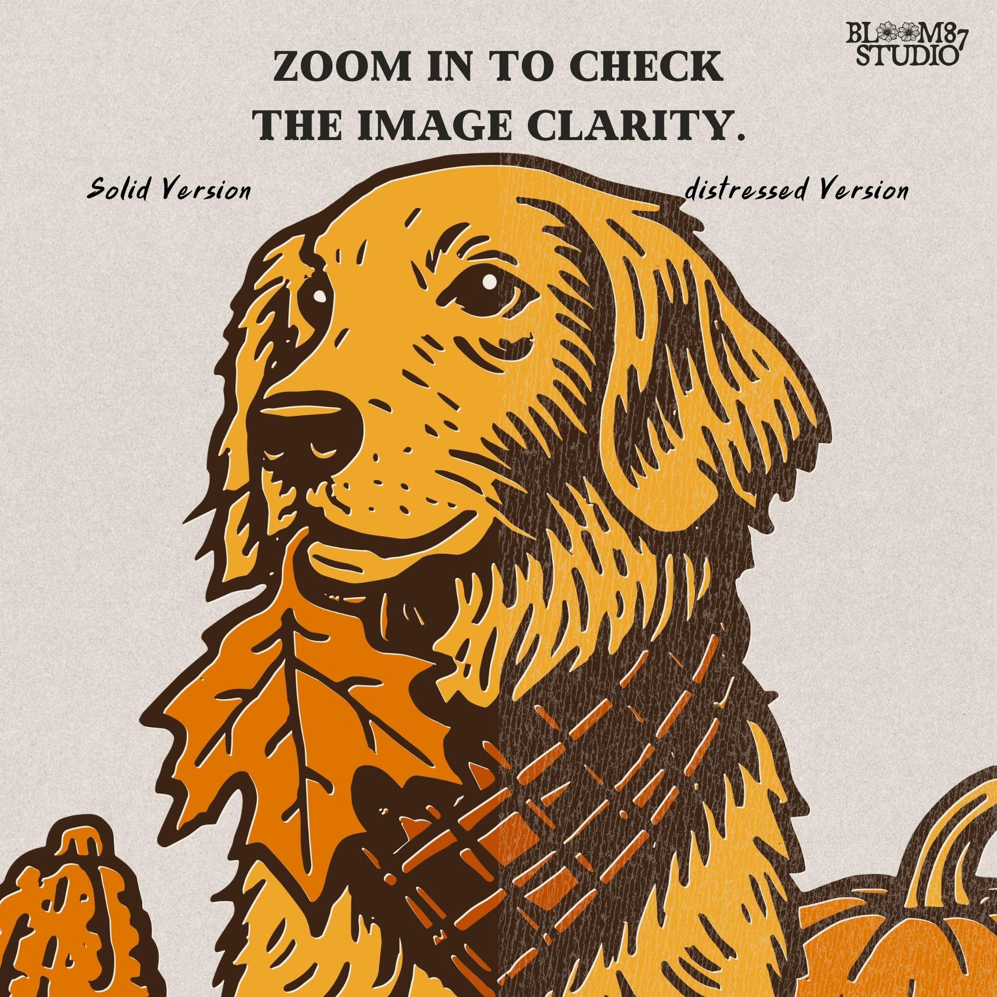 Illustration of a golden retriever dog with a scarf sitting among pumpkins, corn, and autumn leaves, perfect for fall sublimation and Thanksgiving décor designs