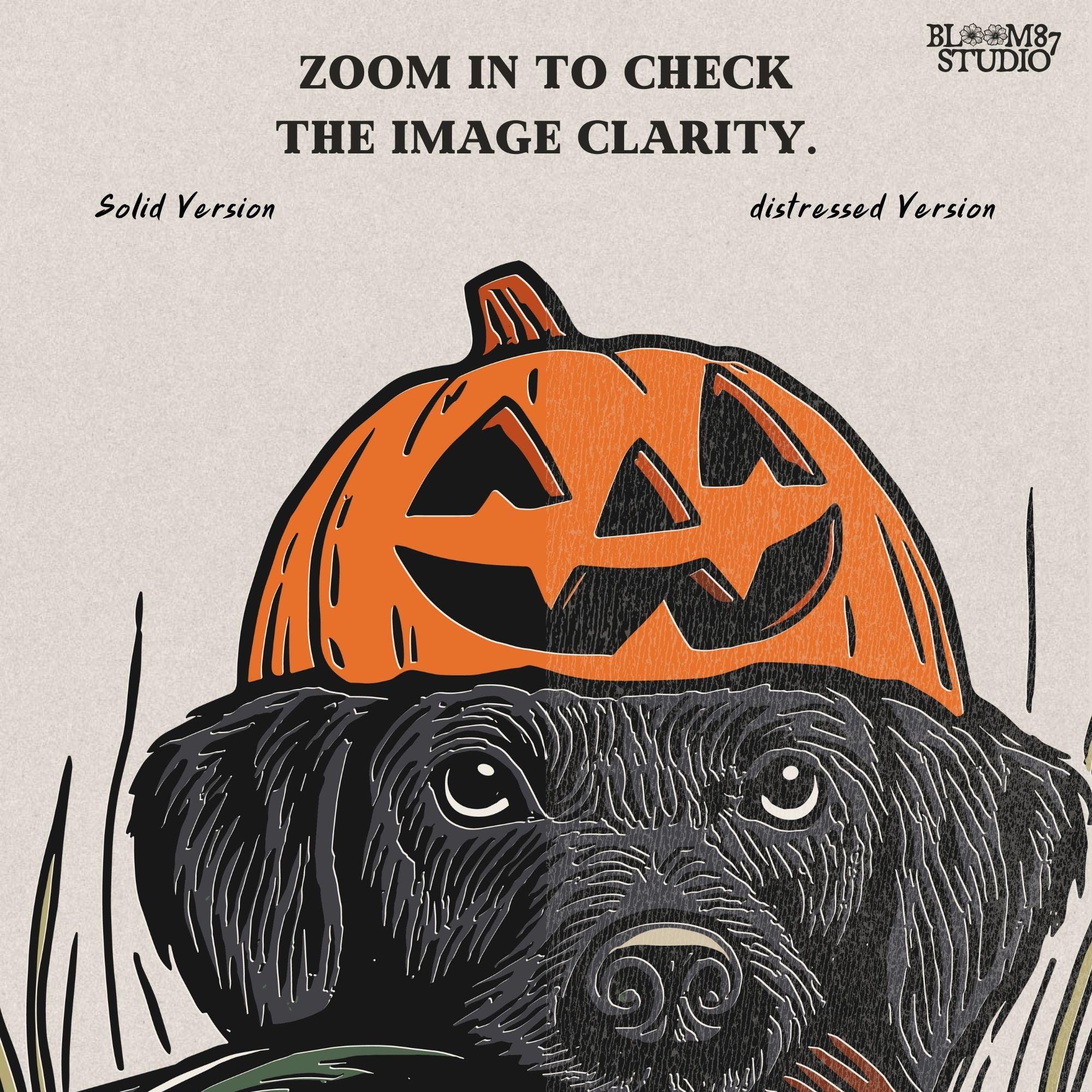 Solid version: "Black Labrador wearing pumpkin jack o lantern hat holding duck, Halloween hunting dog sublimation PNG solid style"

Distressed version: "Halloween hunting dog with pumpkin hat and duck, black lab sublimation PNG vintage distressed version"