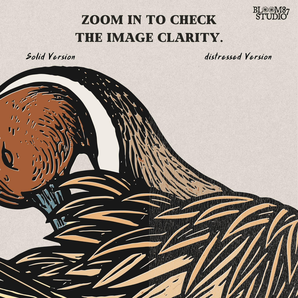 Illustration of a Northern Pintail duck preening feathers, detailed hunting-themed sublimation PNG for outdoor and wildlife crafts.