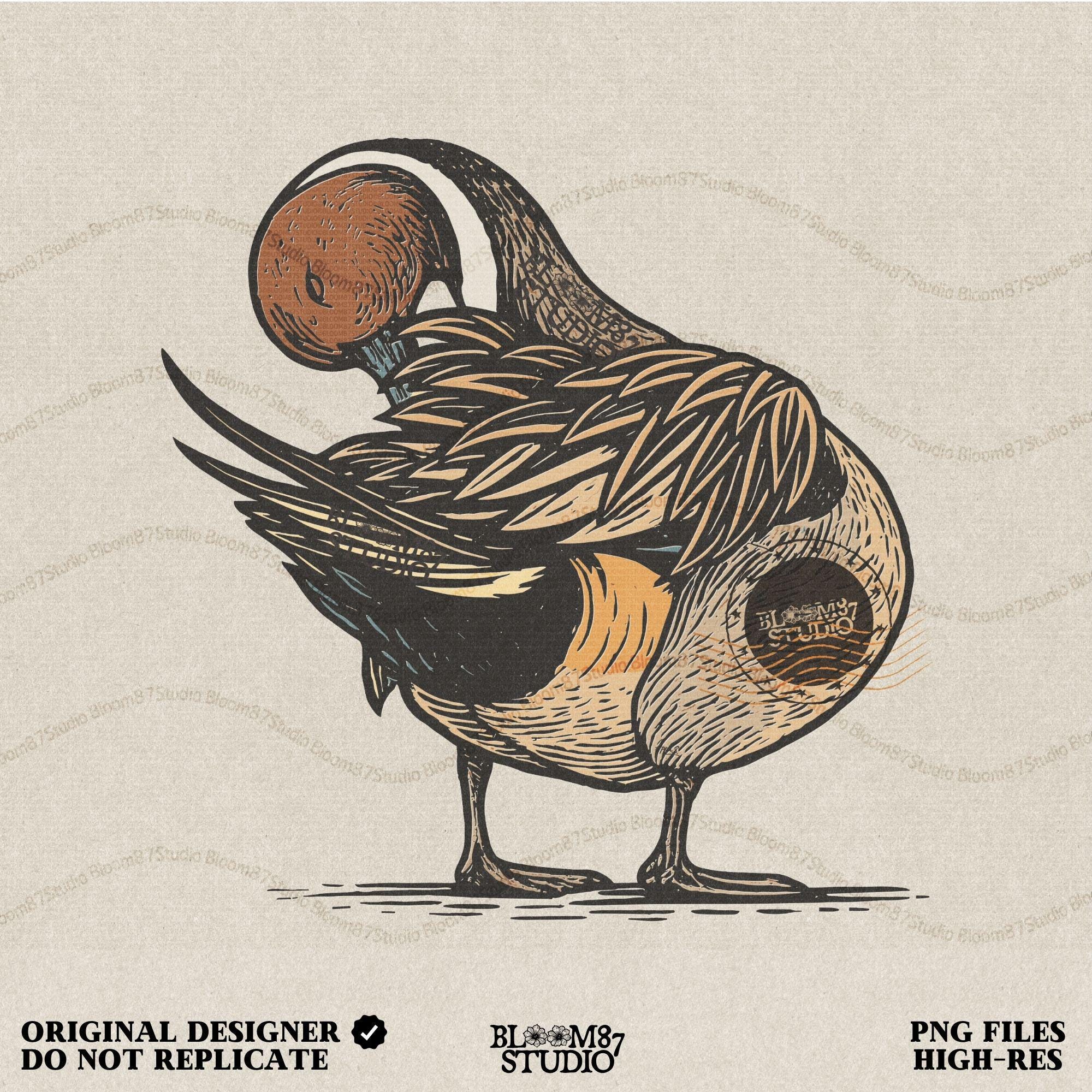 Illustration of a Northern Pintail duck preening feathers, detailed hunting-themed sublimation PNG for outdoor and wildlife crafts.