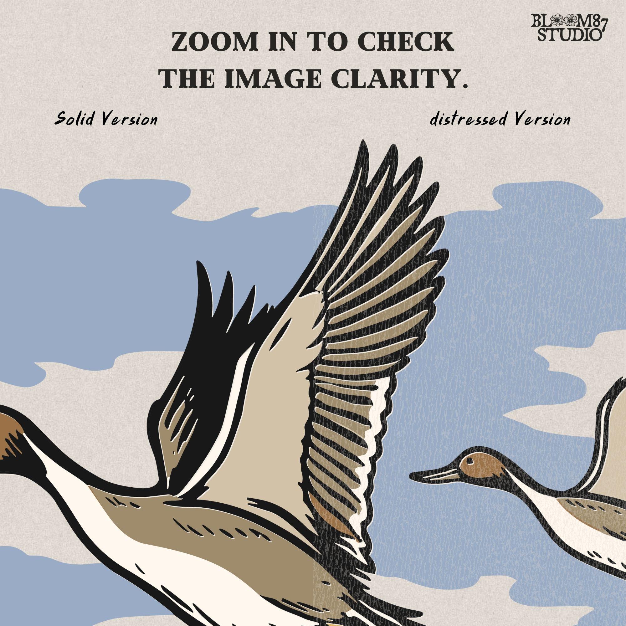 Rustic illustration of pintail ducks flying over wetlands, detailed waterfowl PNG for sublimation, hunting crafts, and wildlife decor.