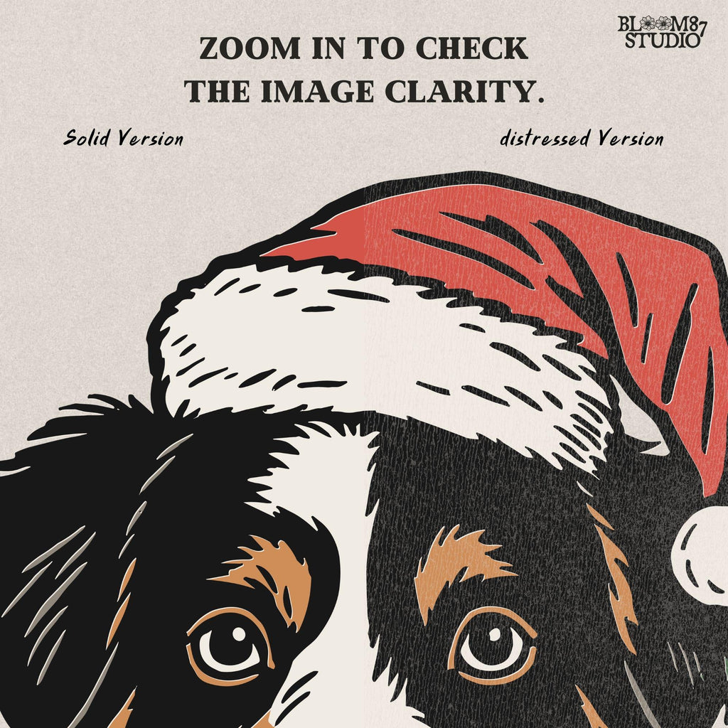 Solid Version: "Bernese Mountain Dog wearing Santa hat with holly leaves and red berries, festive Christmas PNG design for sublimation projects"
Distressed Version: "Vintage distressed PNG of Bernese Mountain Dog in Santa hat with holly accents, rustic holiday sublimation design for mugs, shirts, and crafts"